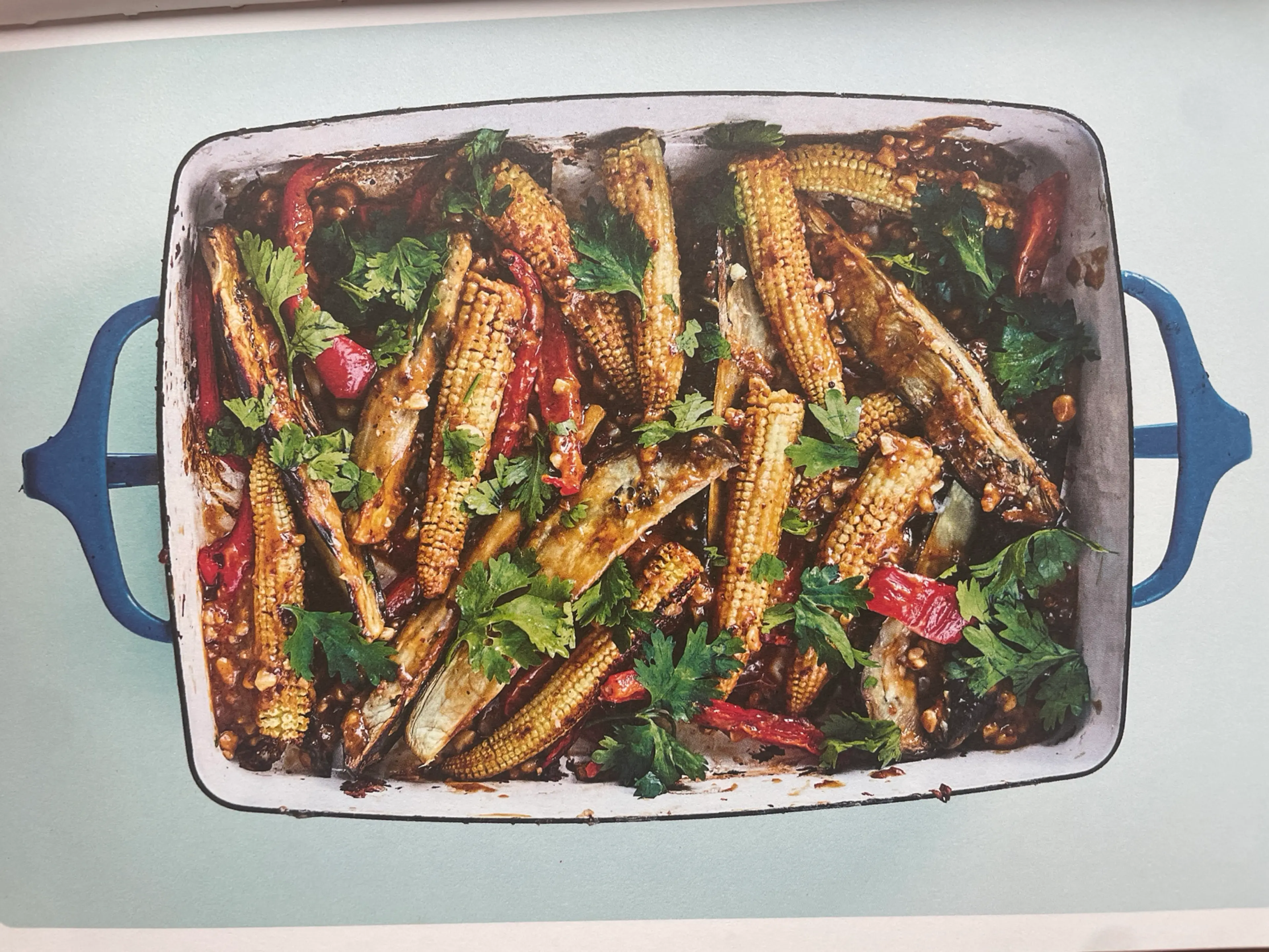 BABYMAIS MET AUBERGINE, GEMBER & PINDASAUS