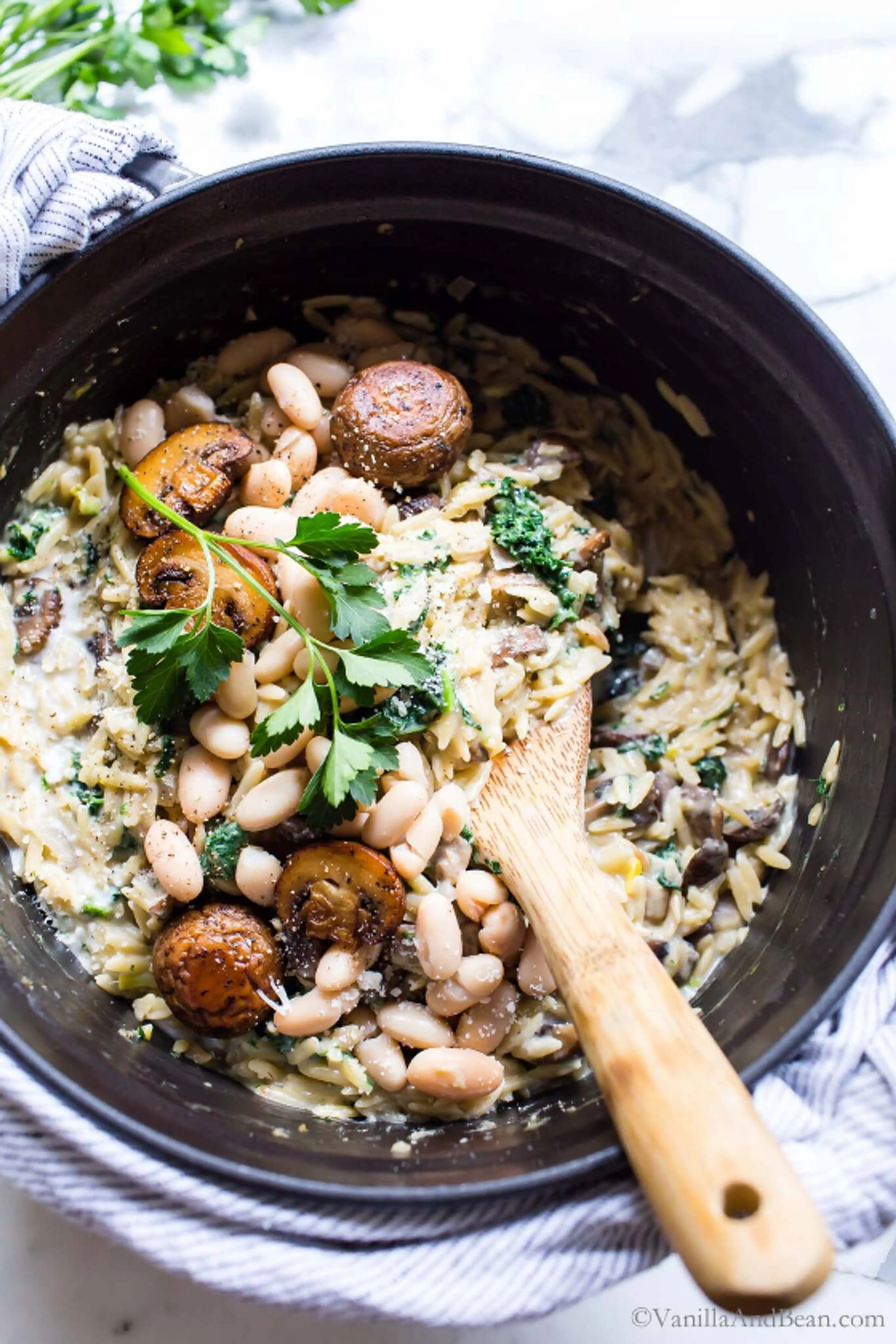 Creamy White Bean and Parmesan Mushroom Orzo Pasta