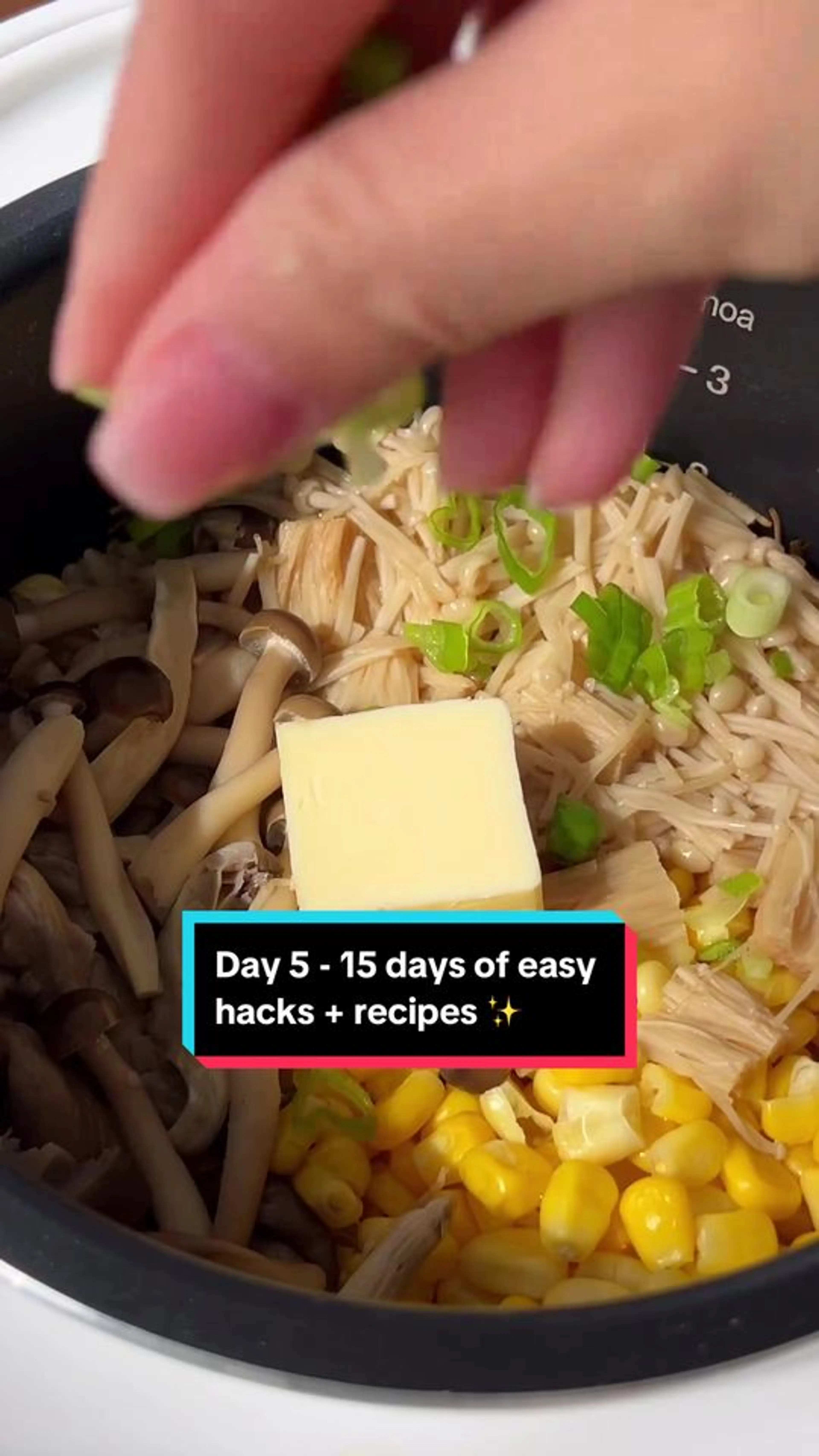 Day 5 of 15 - Easy Hacks and Recipes