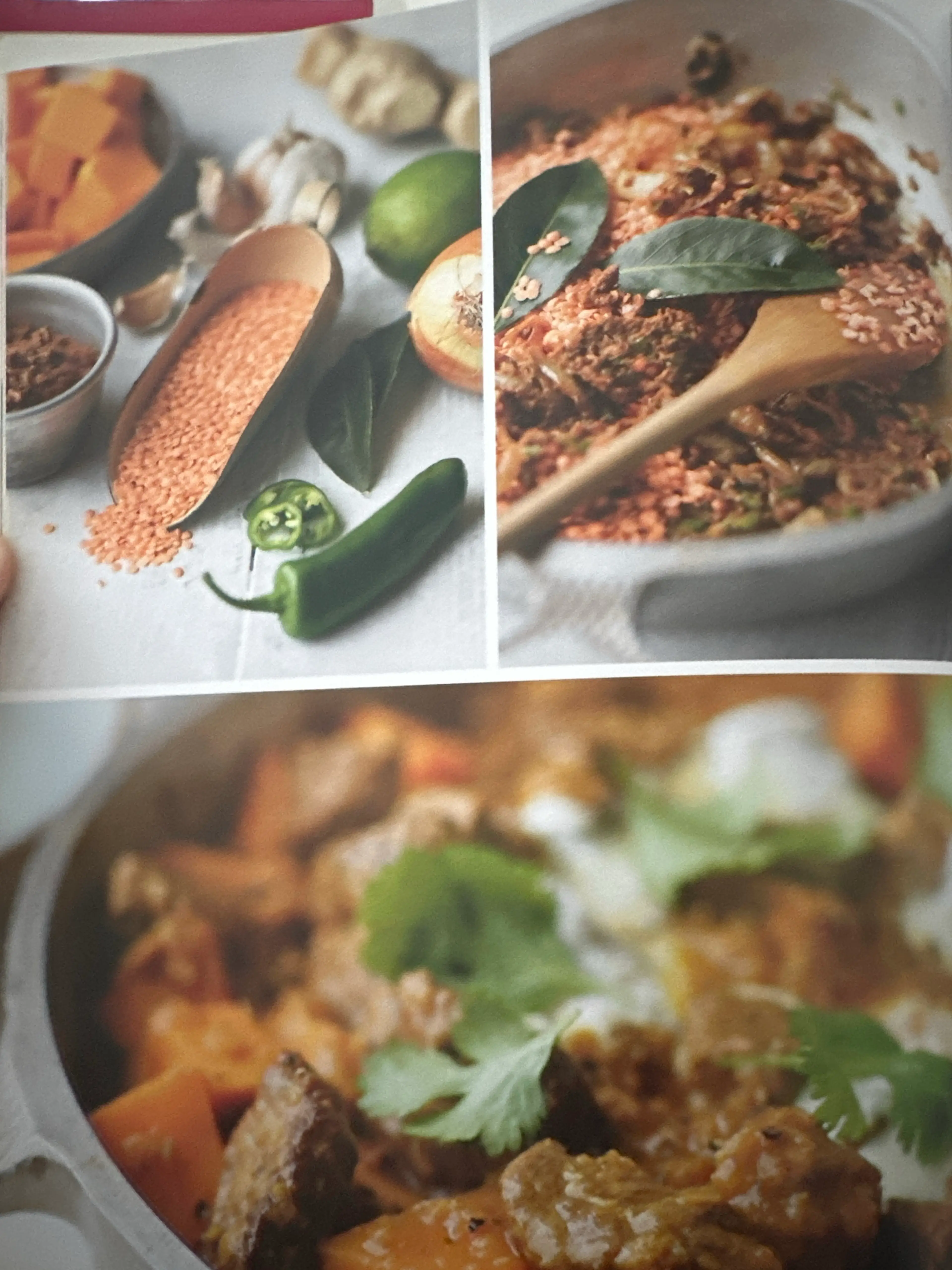 ALL-IN-ONE LAMB DHANSAK