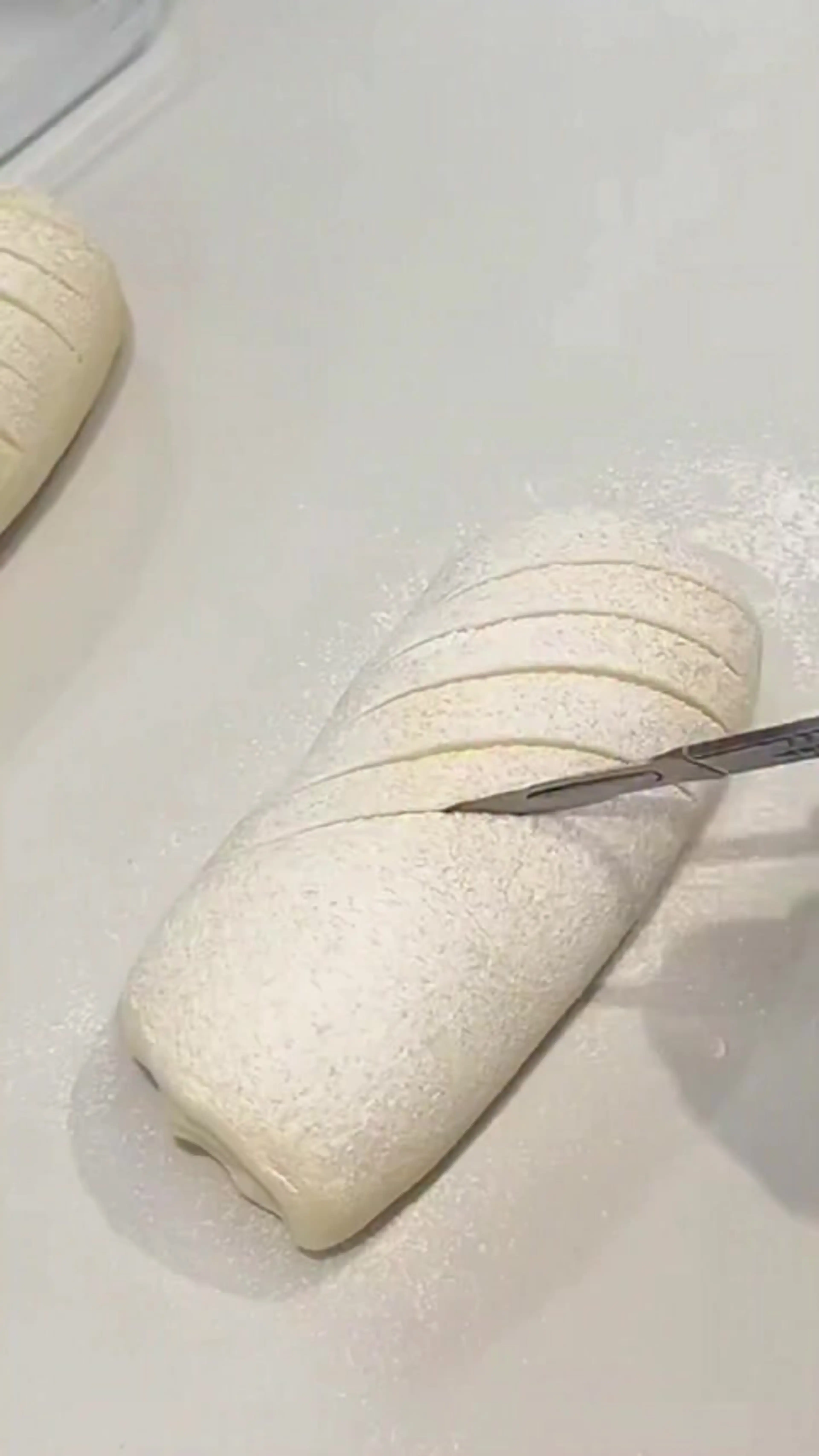 Fluffy Rice Flour Toast Bread