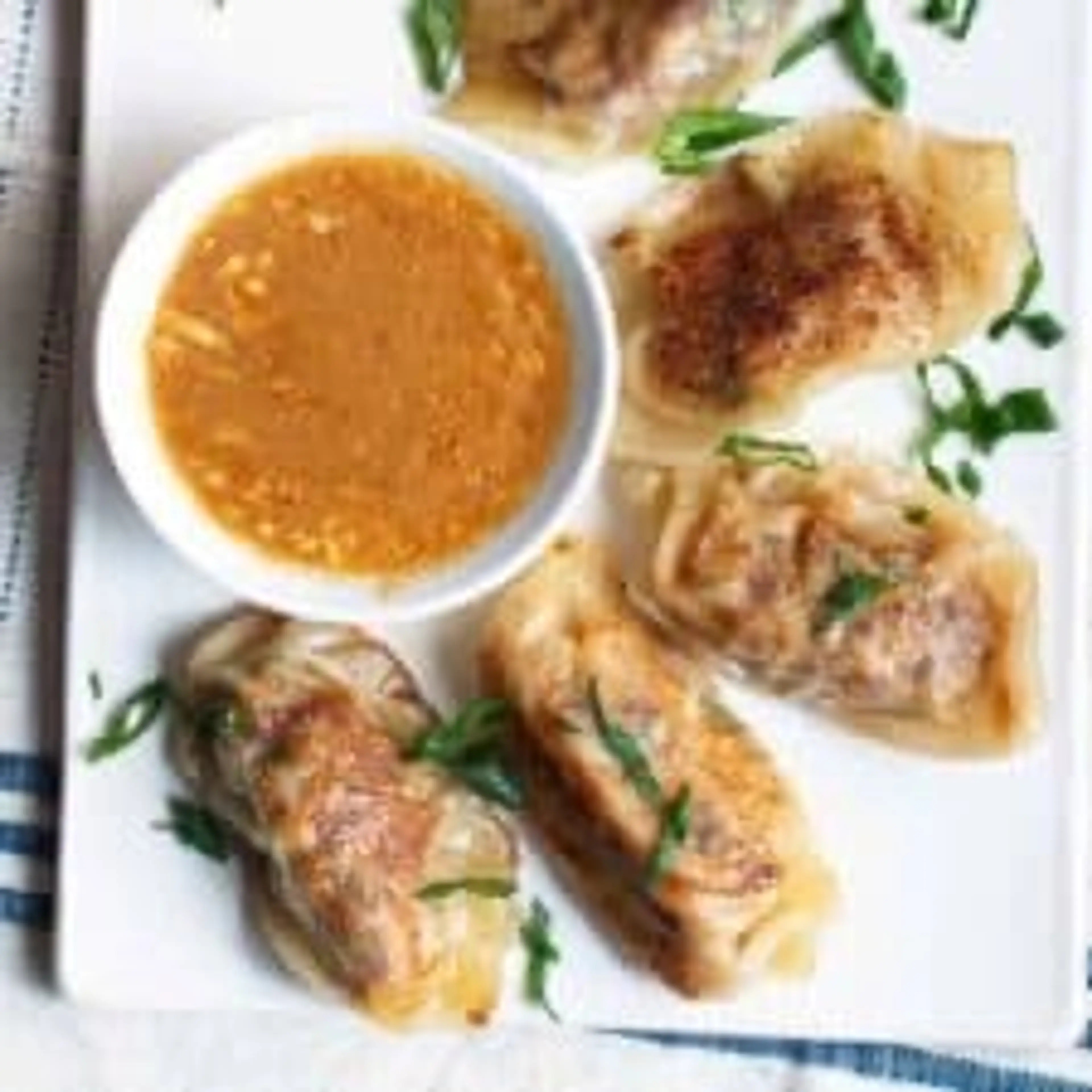 Thai Dumplings