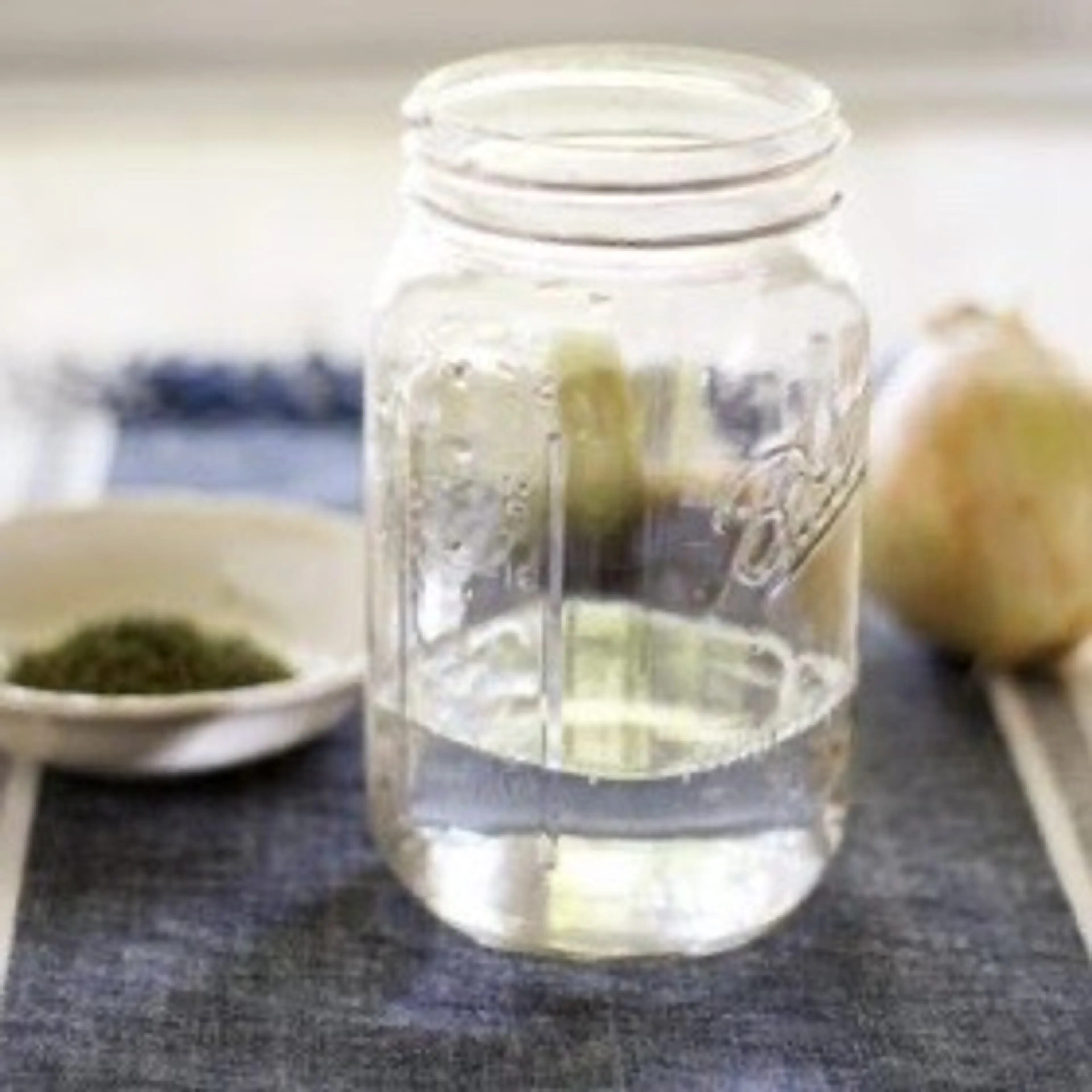 Deliciously Sweet + Dilly Pickled Onion Rings