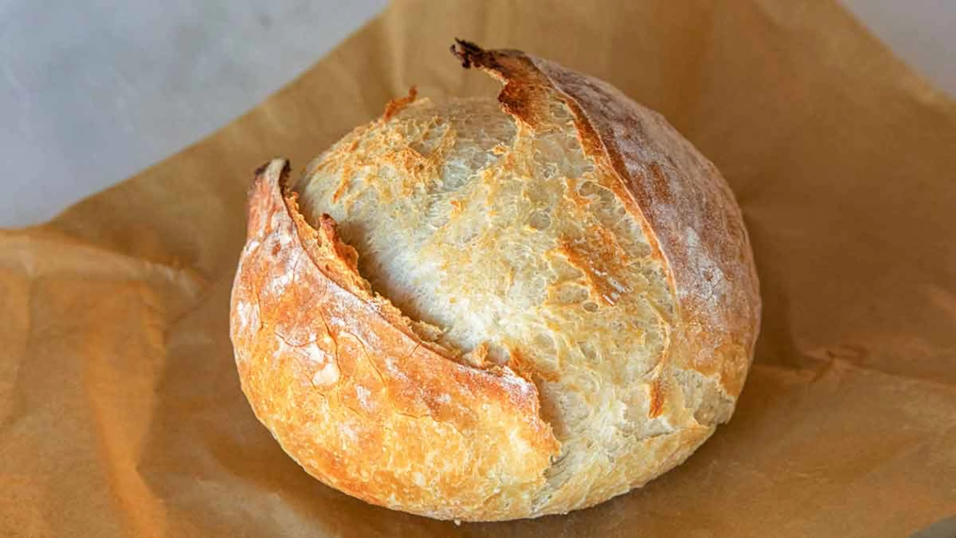 Artisan Bread
