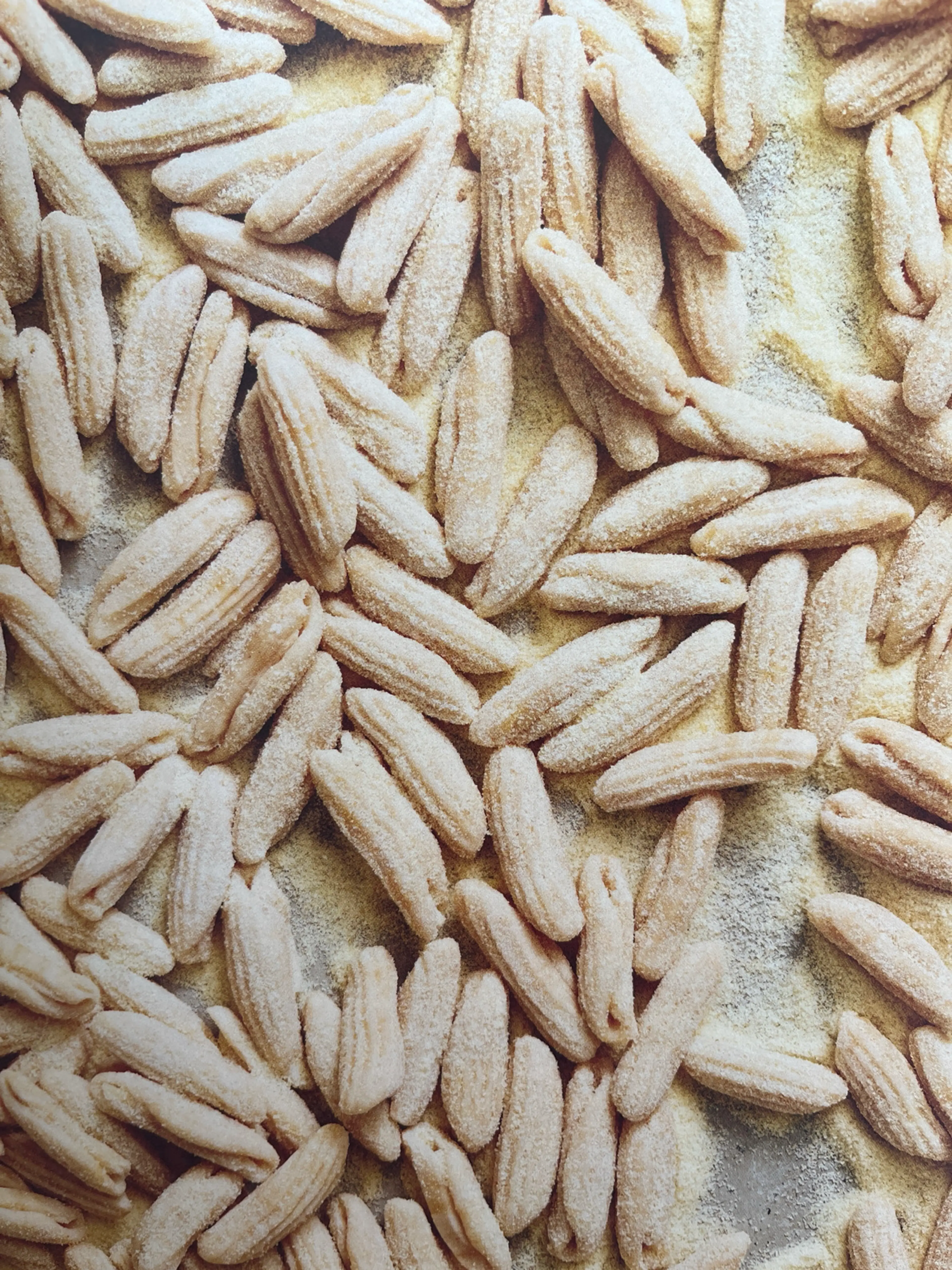 Whole Wheat and Ricotta Cavatelli