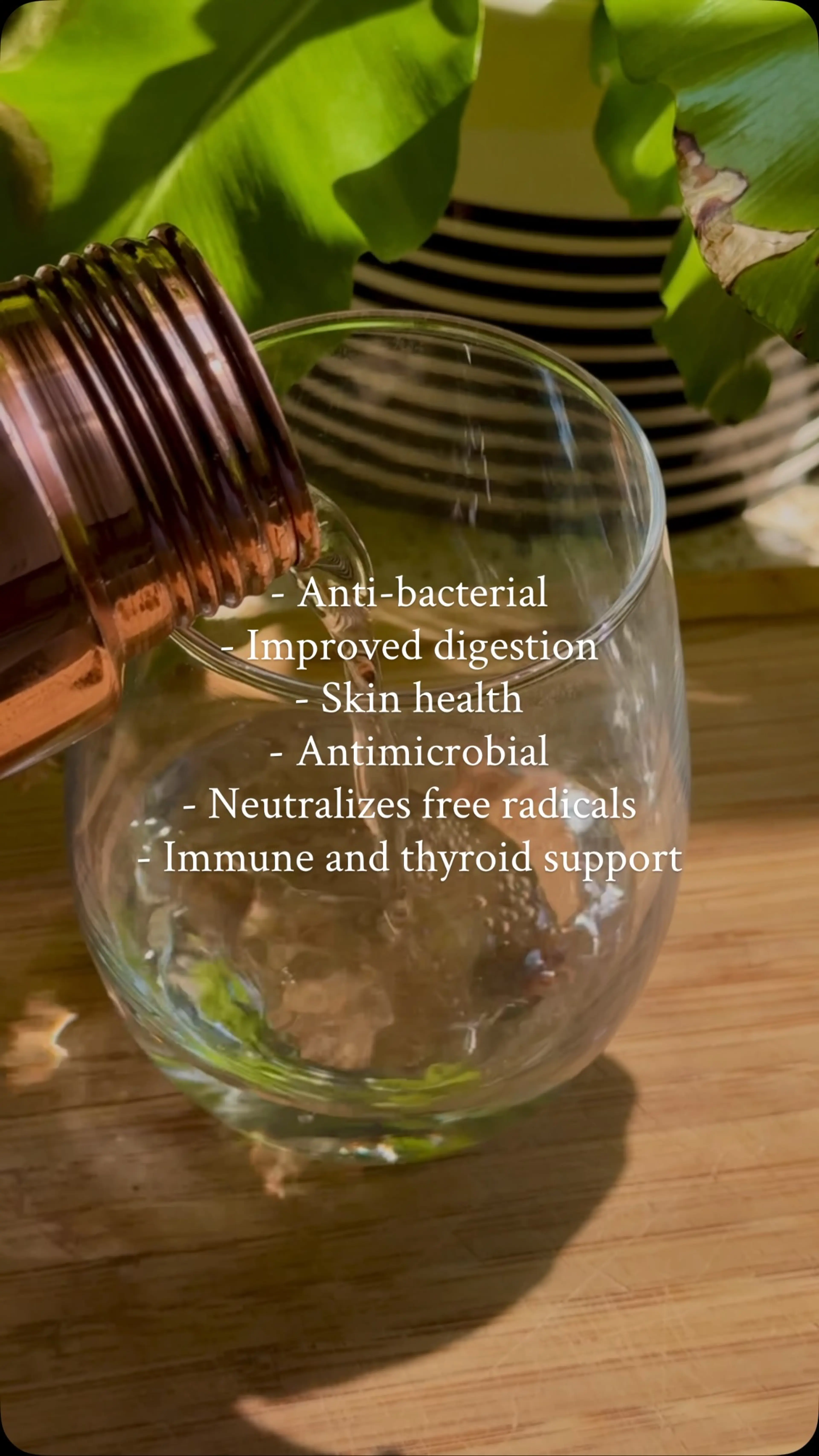 Copper Water (or as Ayurveda Has Called It for Thousands of