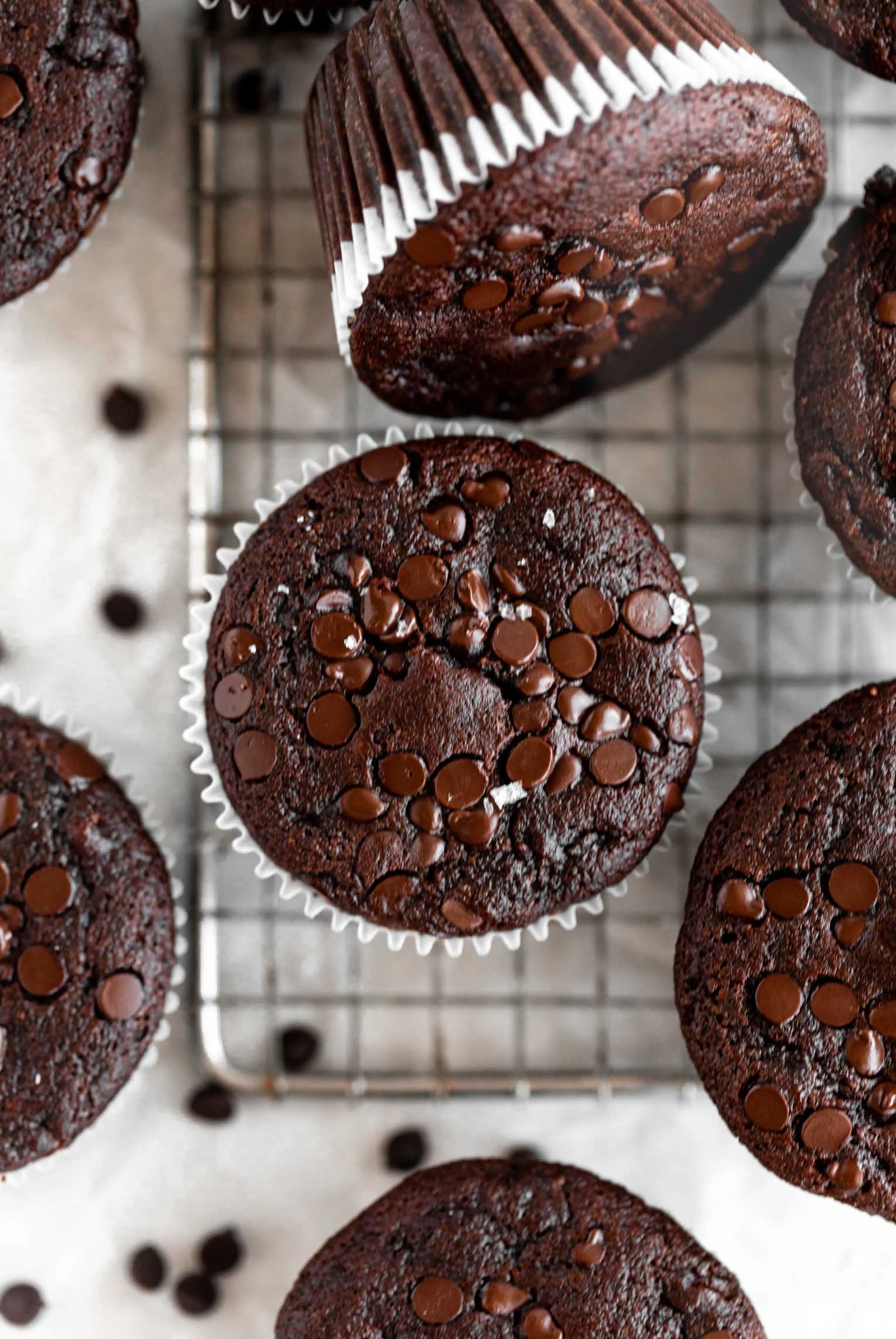 Chocolate Zucchini Muffins