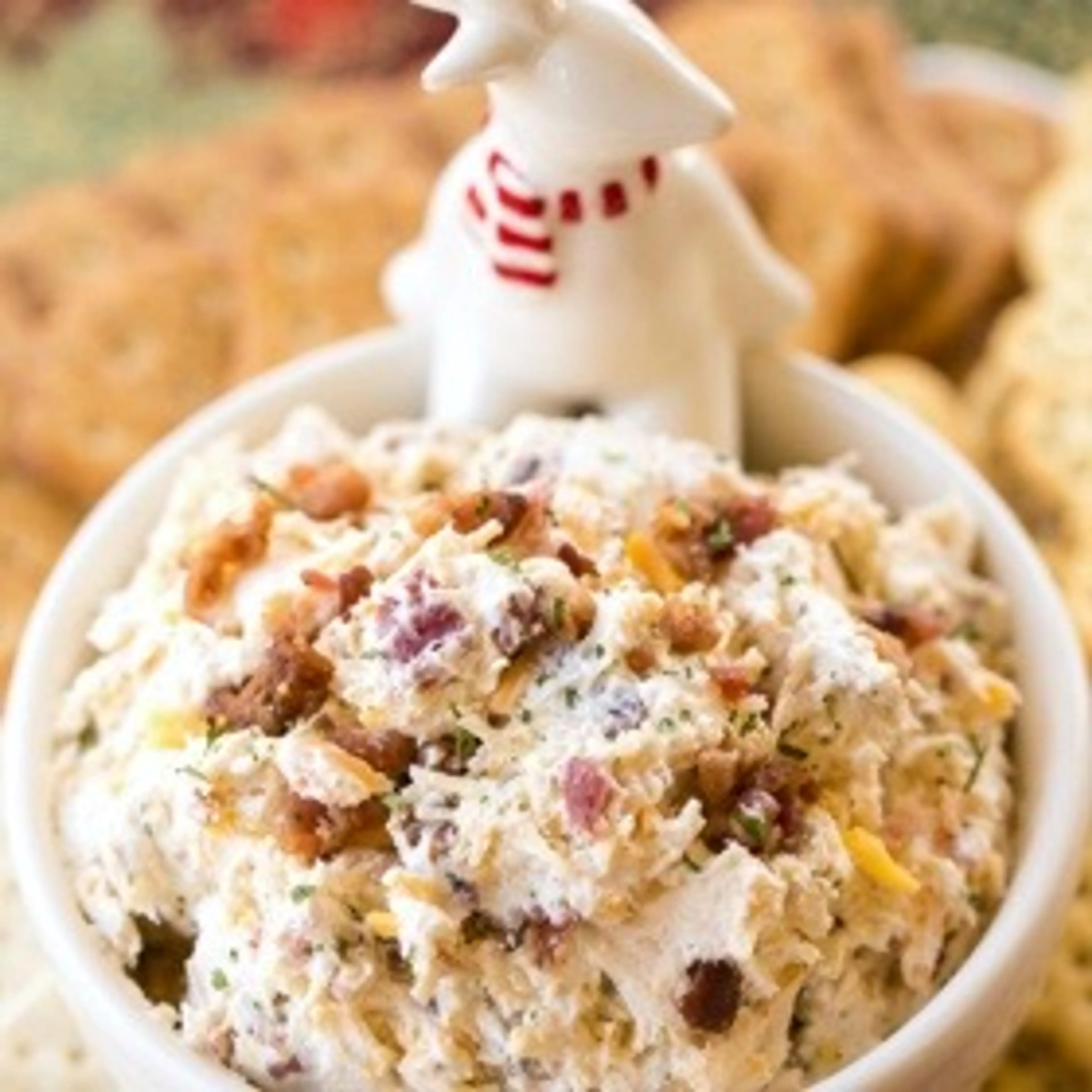 Cracked Out Chicken Dip