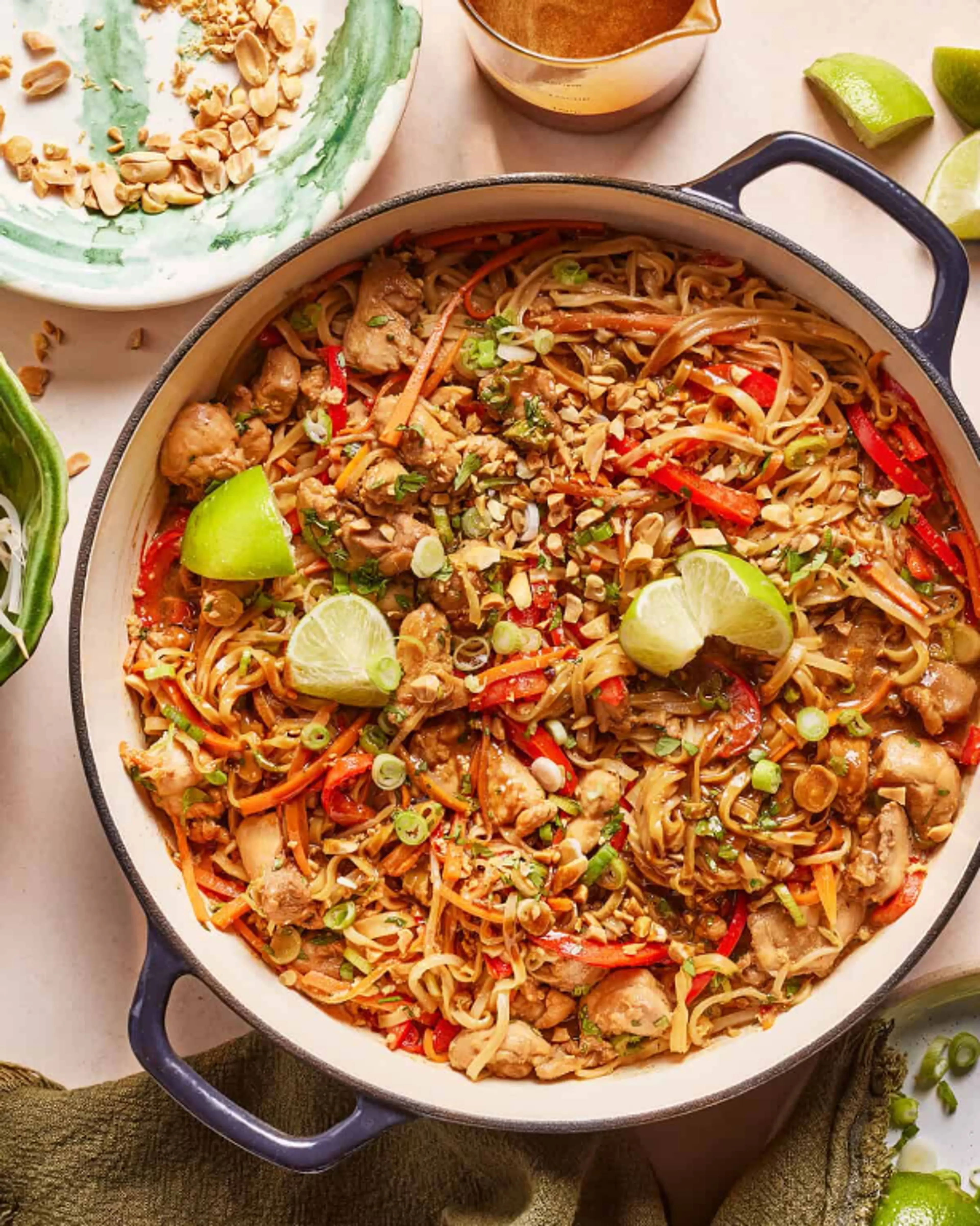 30 Minute Saucy Chicken Noodles