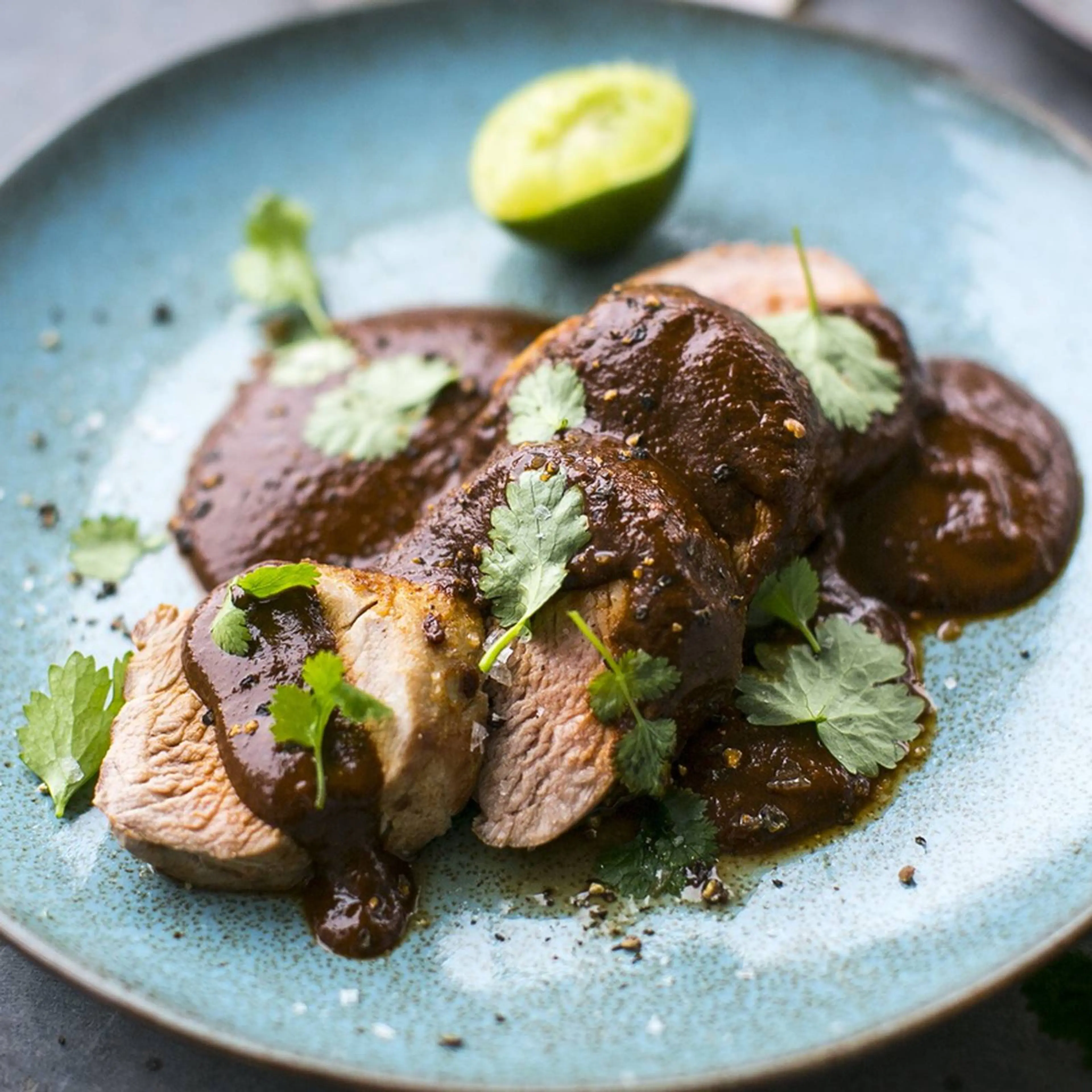 Pork Tenderloin with Mole Poblano Sauce