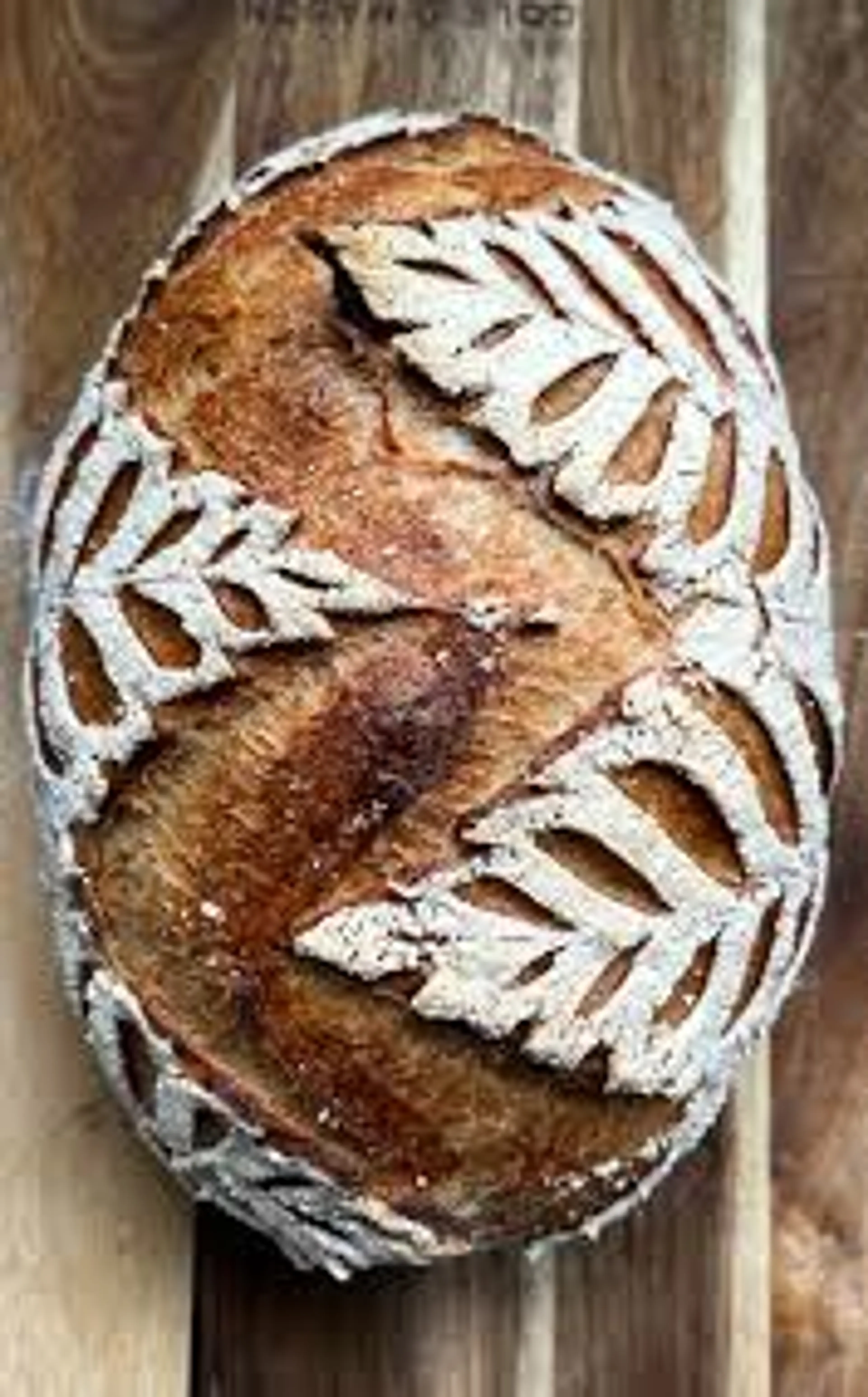 Patrick Ryan's Sourdough Recipe