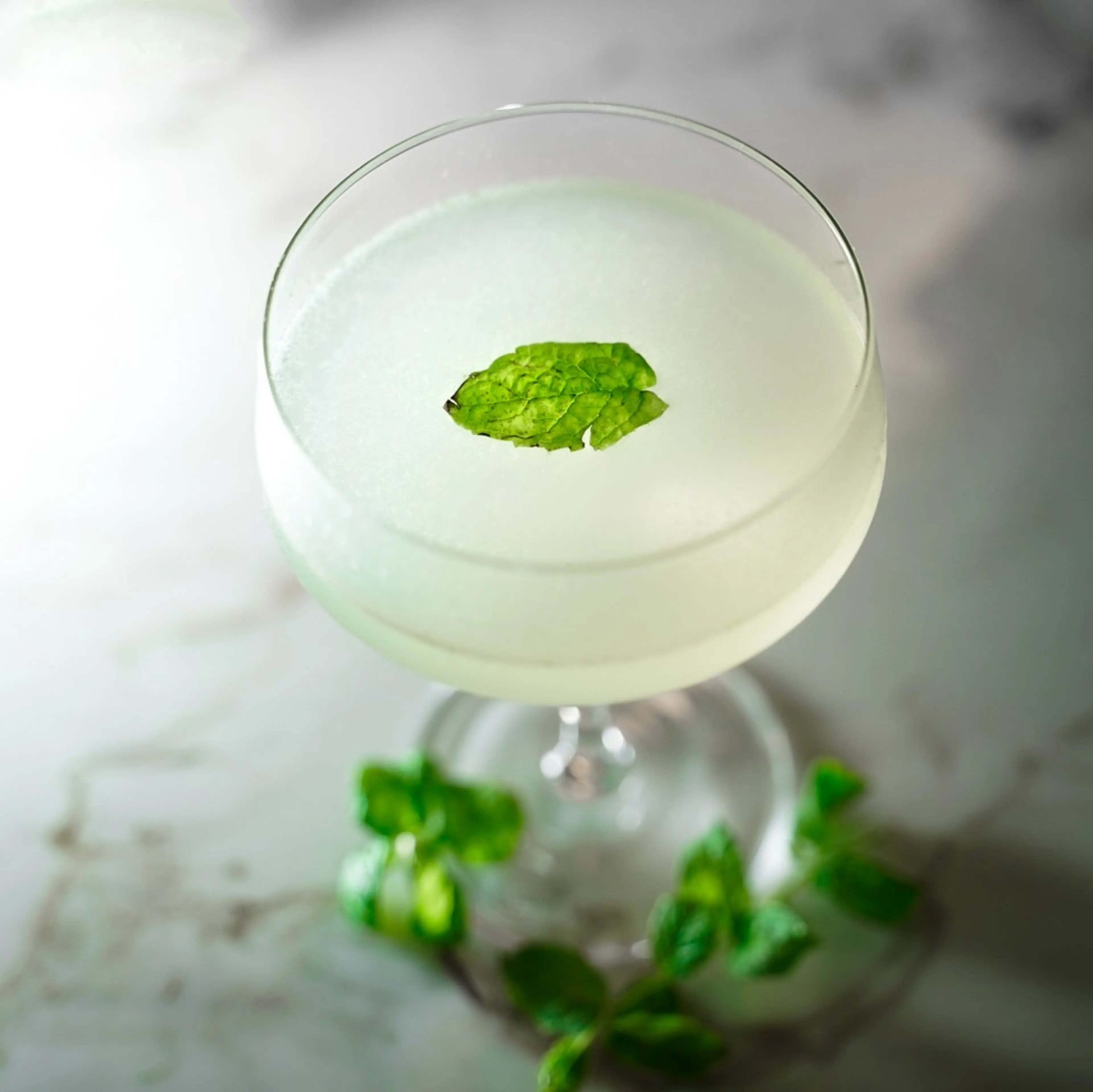 Gin, Mint, Ginger And Lime