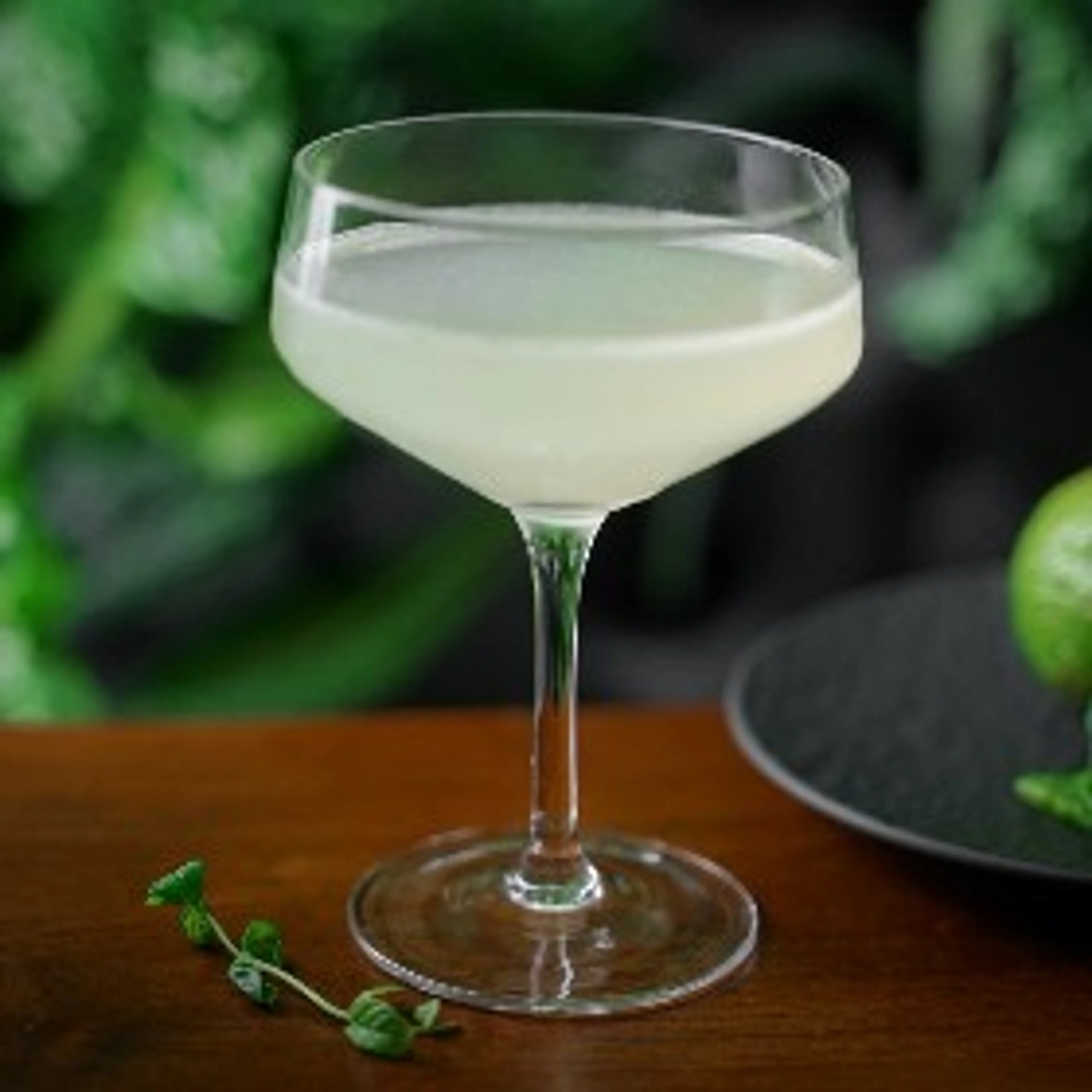 Gin, Mint, Ginger And Lime