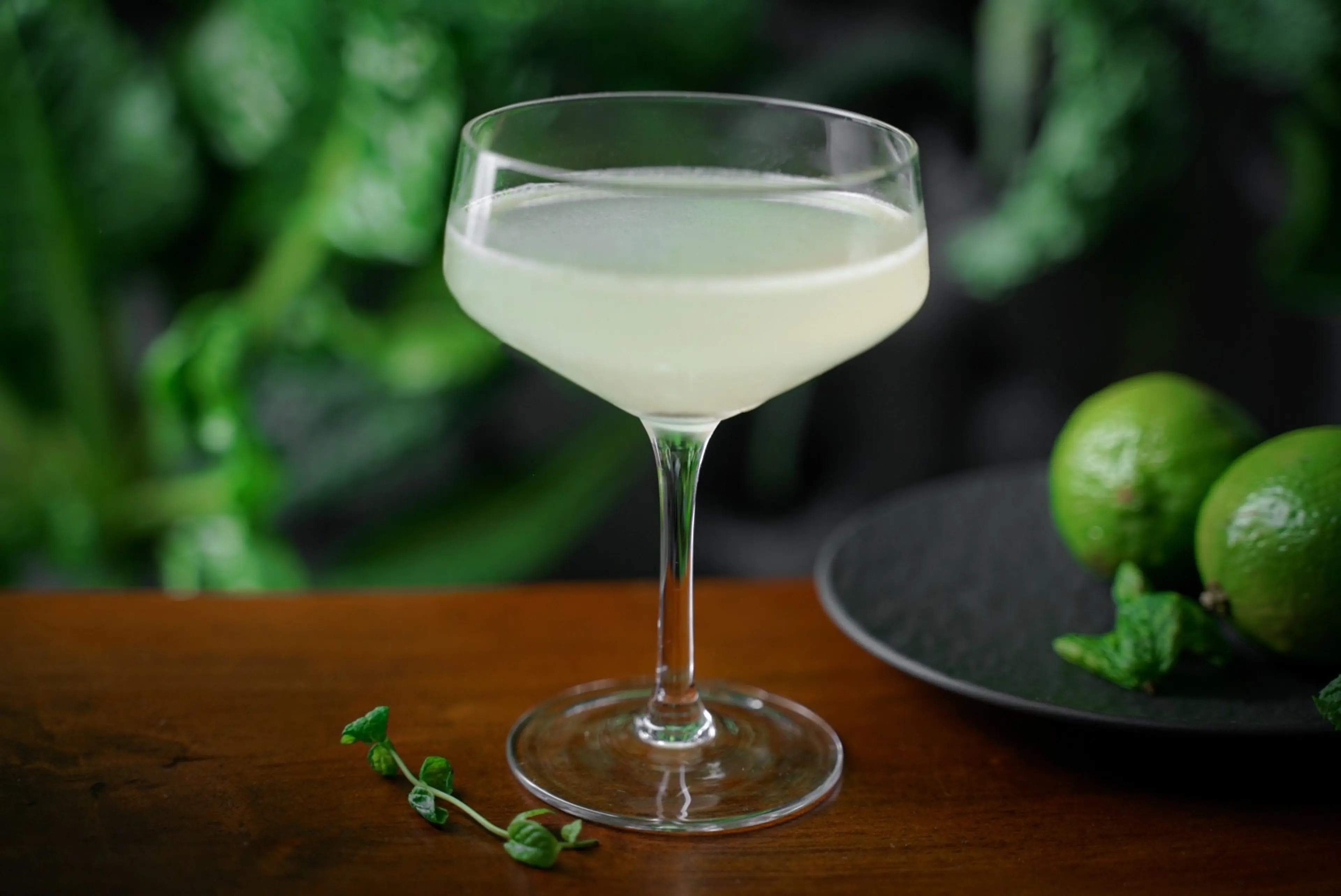 Gin, Mint, Ginger And Lime