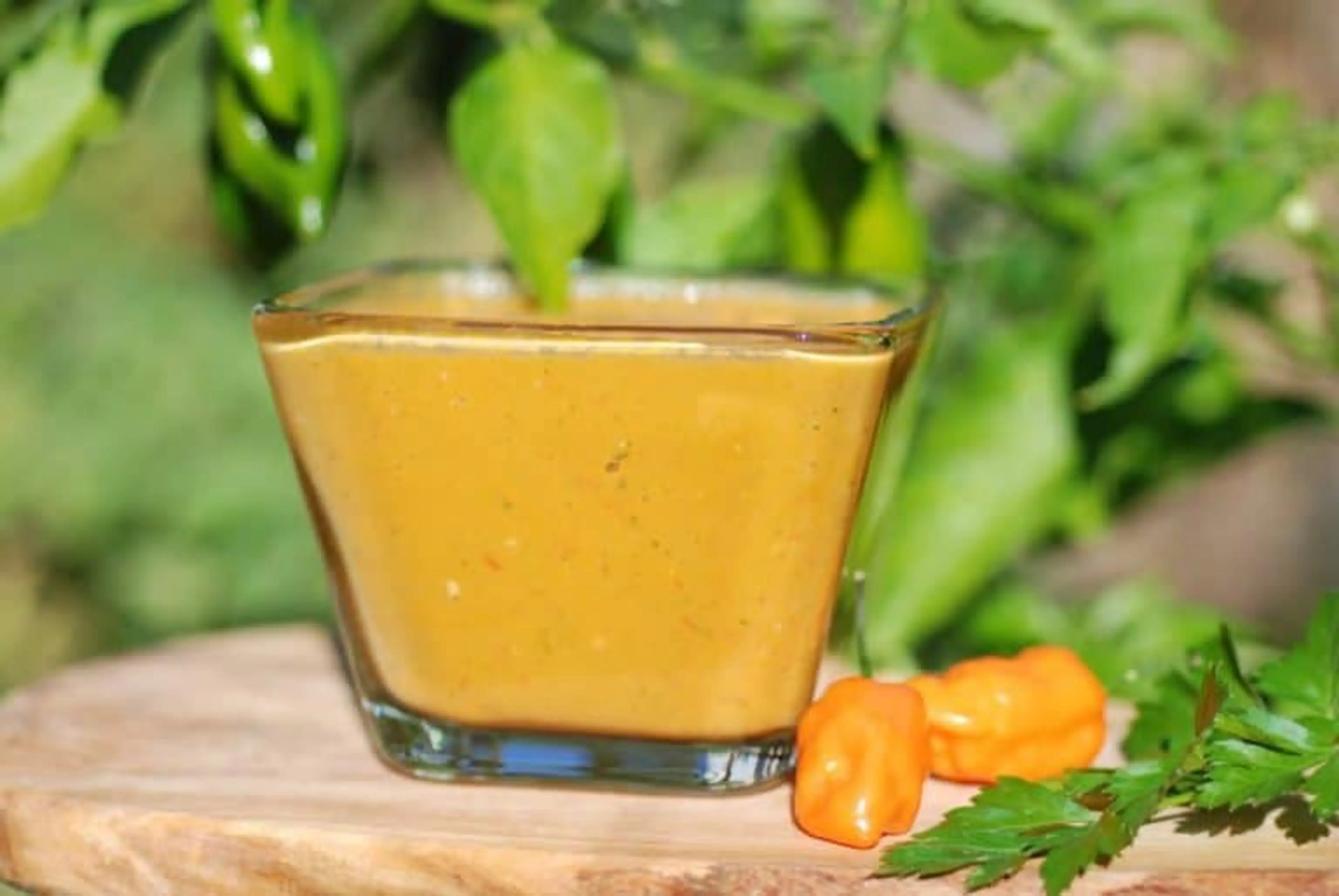 African Pepper Sauce