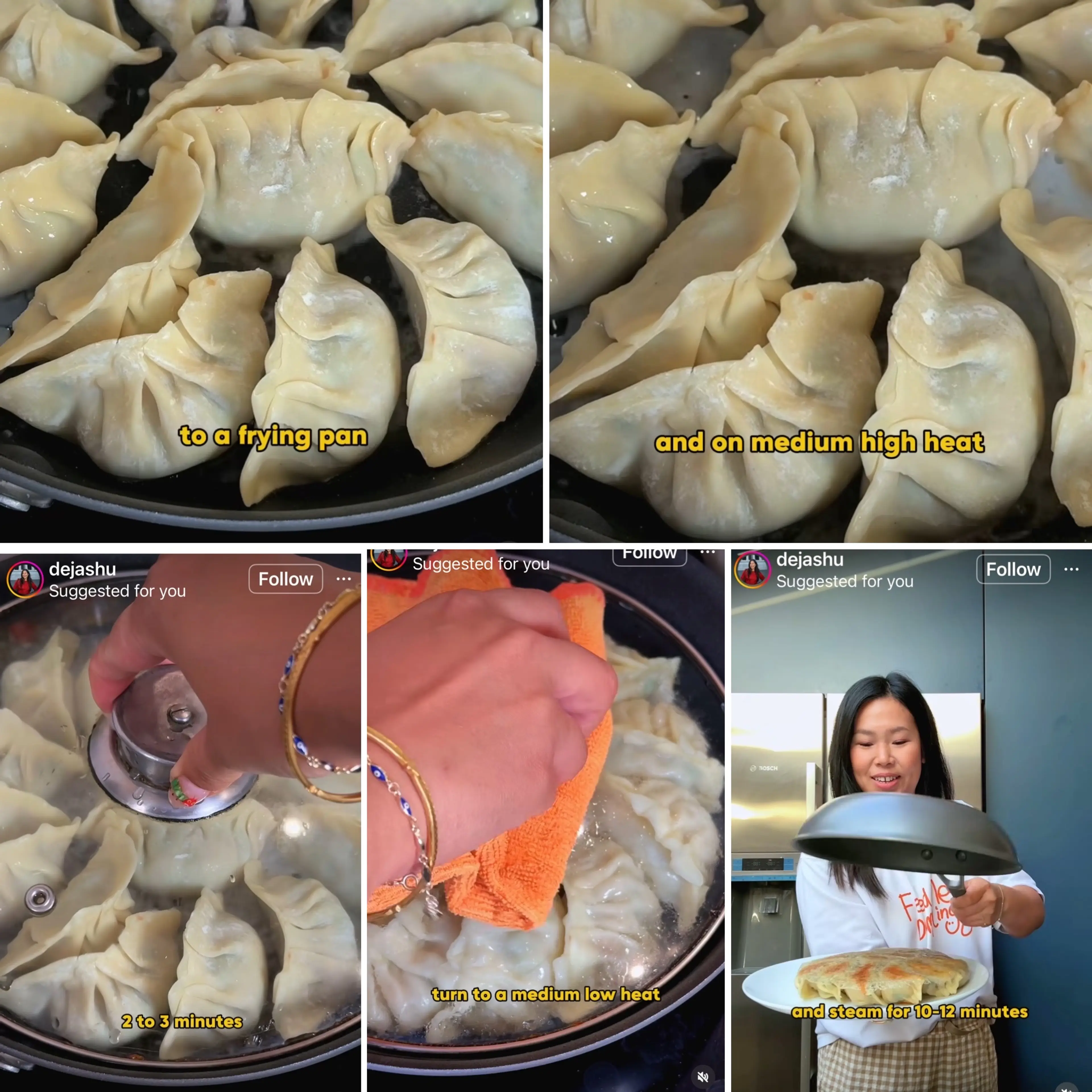 Pork And Chive Chinese Dumpling