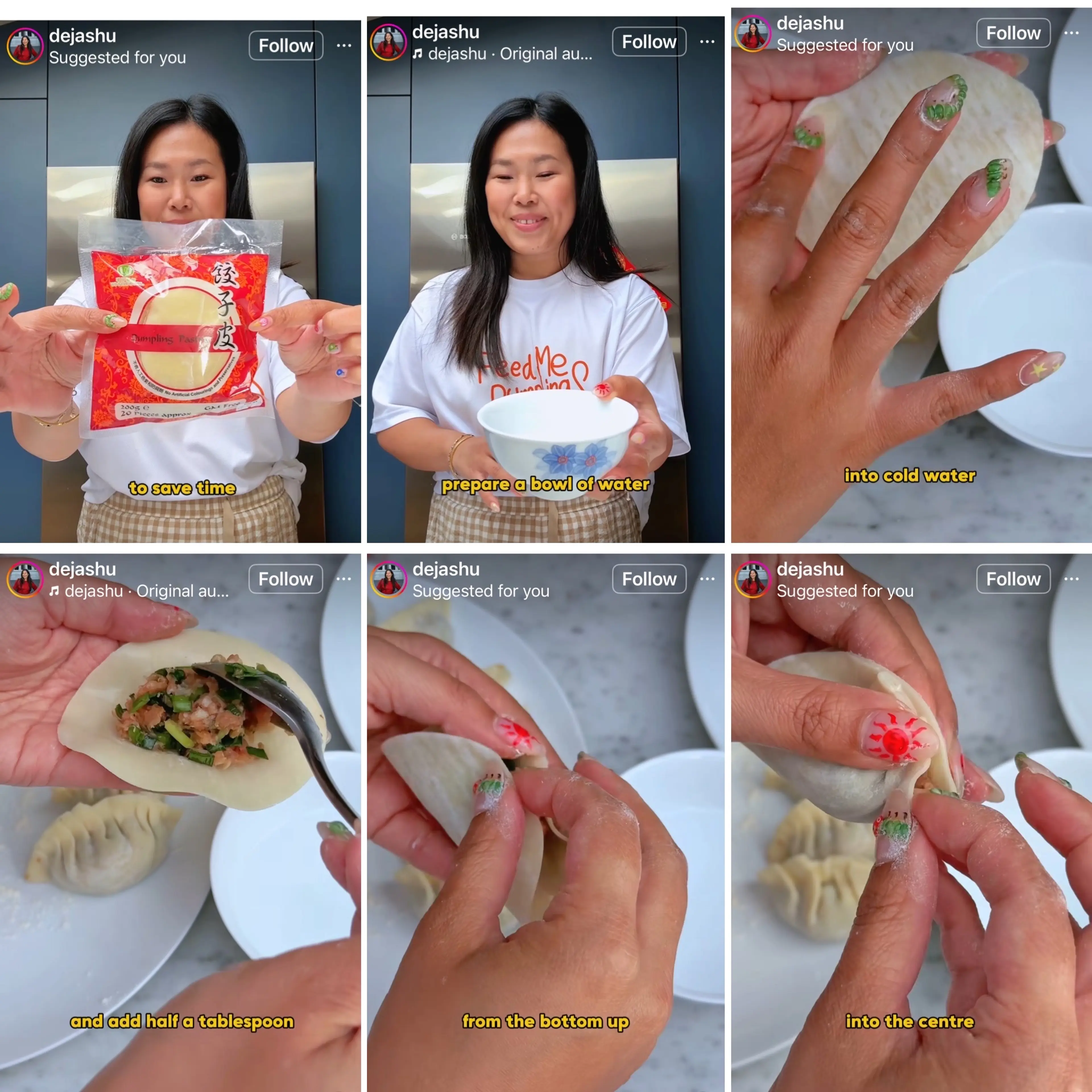 Pork And Chive Chinese Dumpling