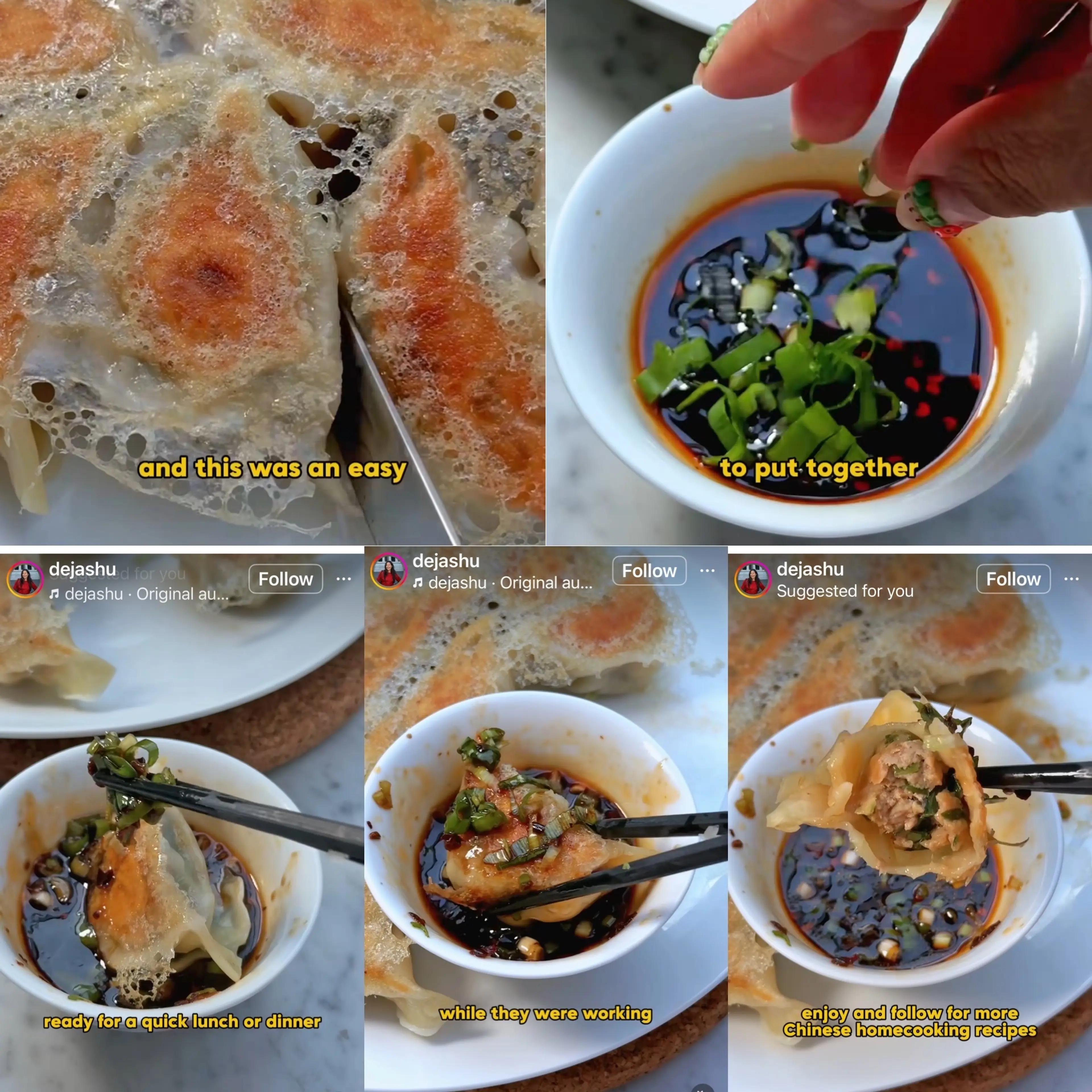 Pork And Chive Chinese Dumpling