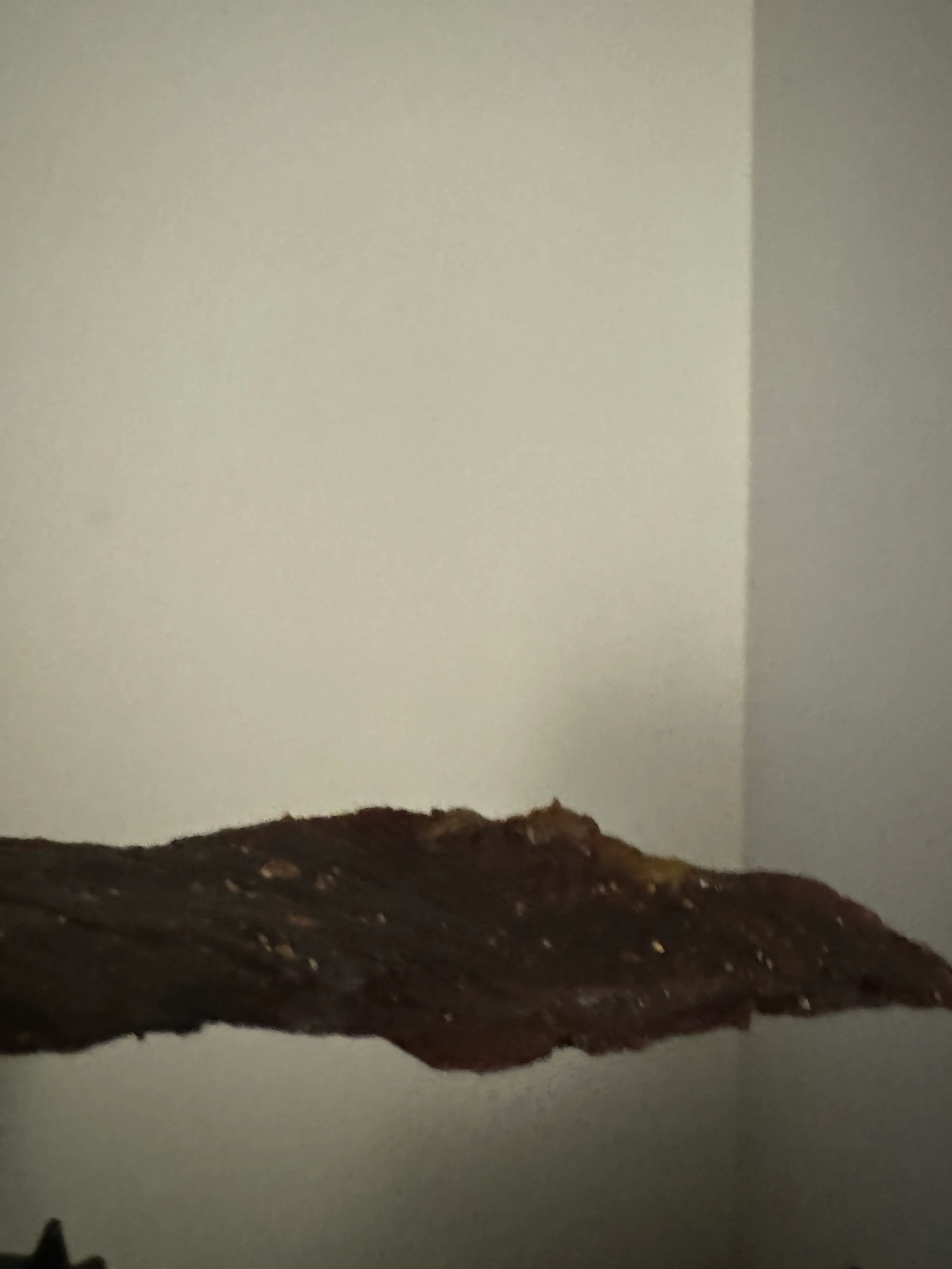 Beef Jerky