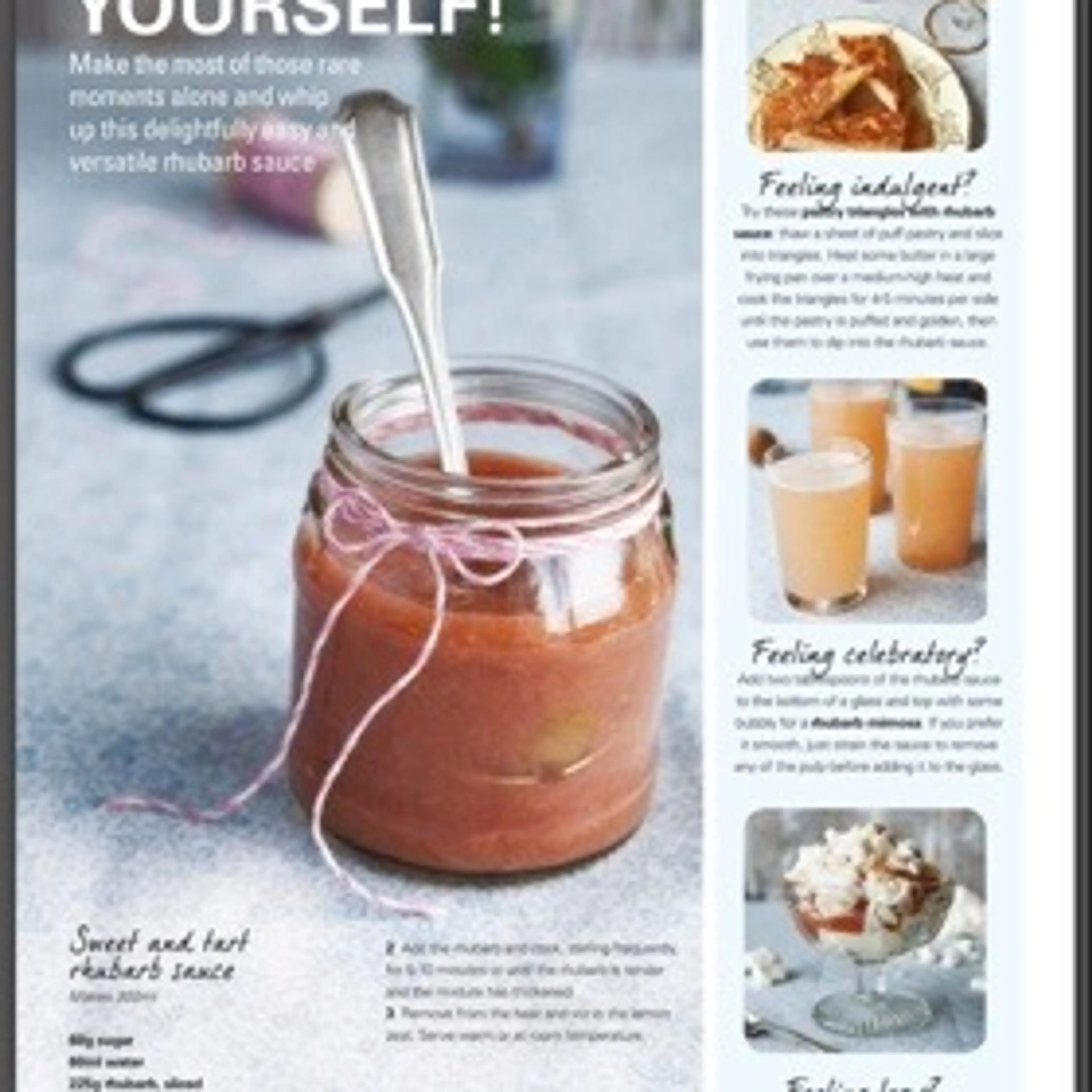 Sweet And Tart Rhubarb Sauce