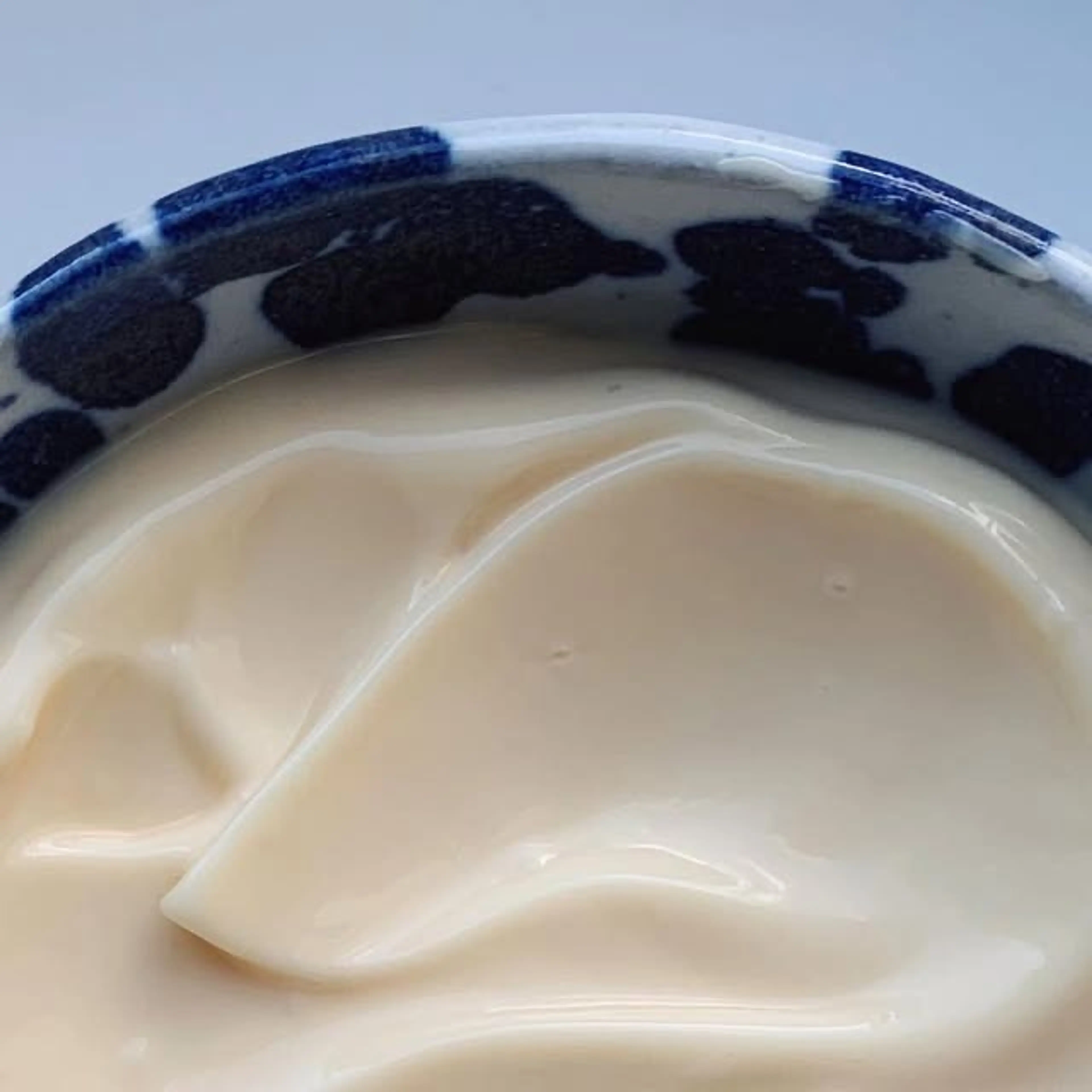 The Secret Ingredient in Our Garlic Aioli Is Tofu. If You Mi