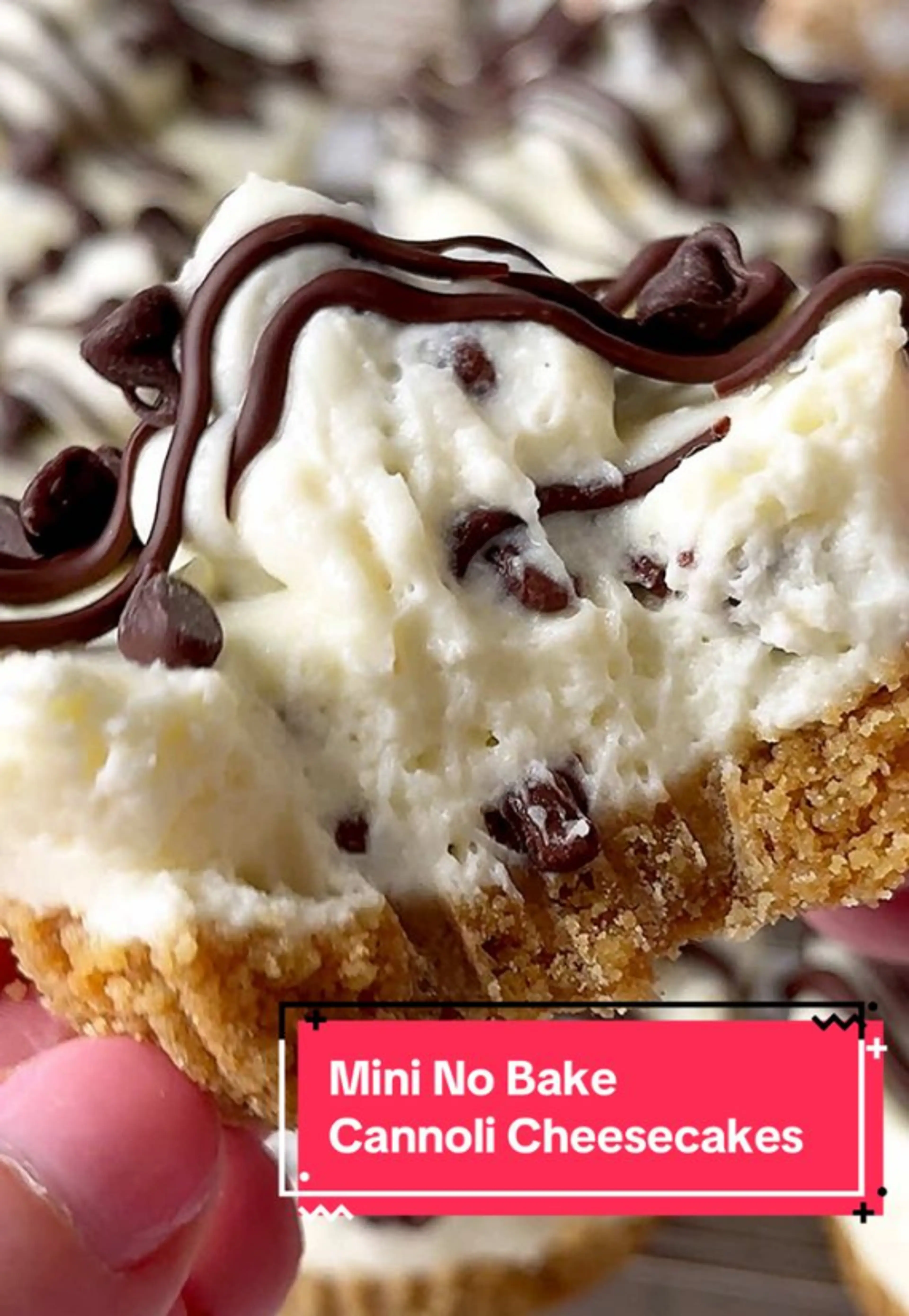 No Bake Cannoli Mini Cheesecakes