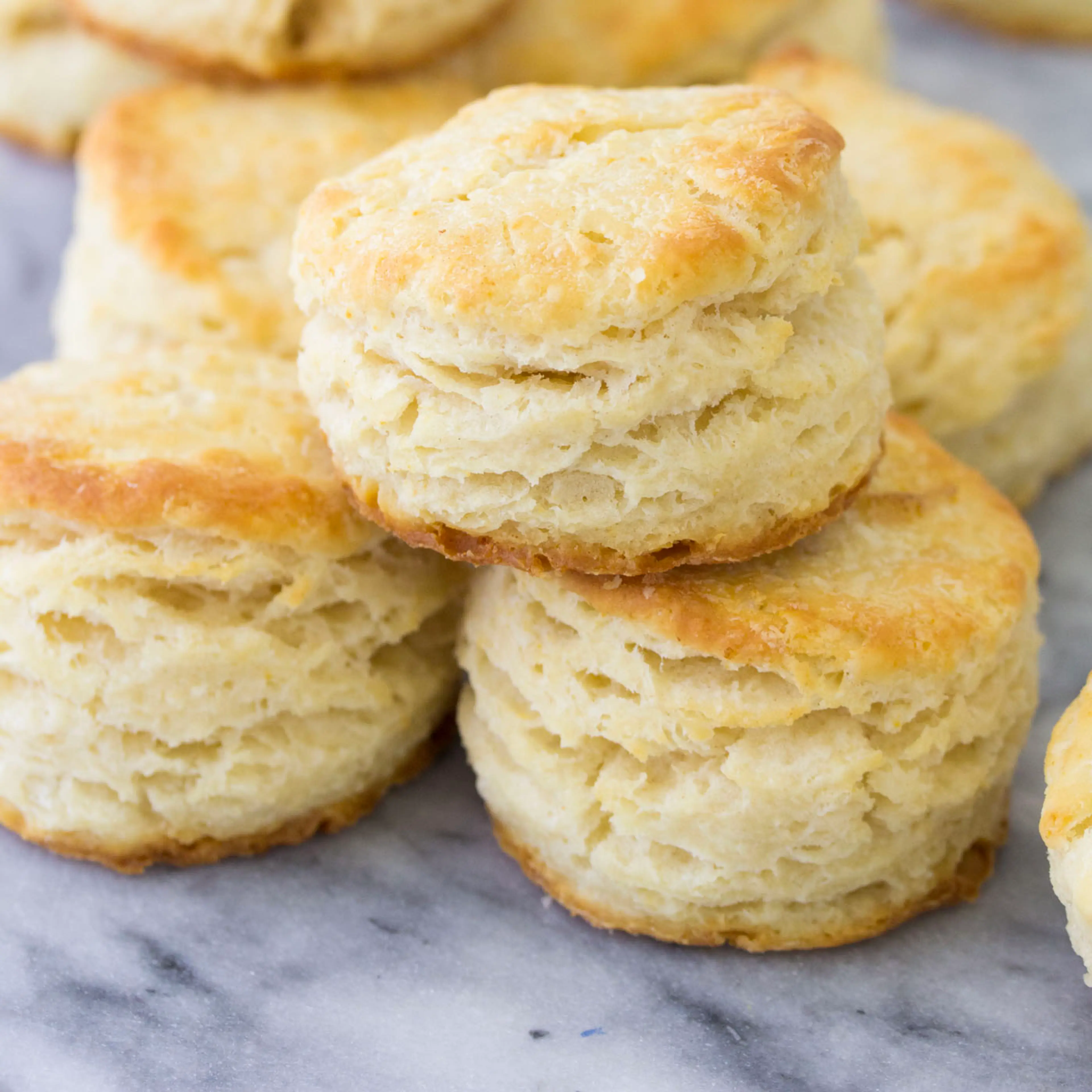 The BEST Biscuits Recipe