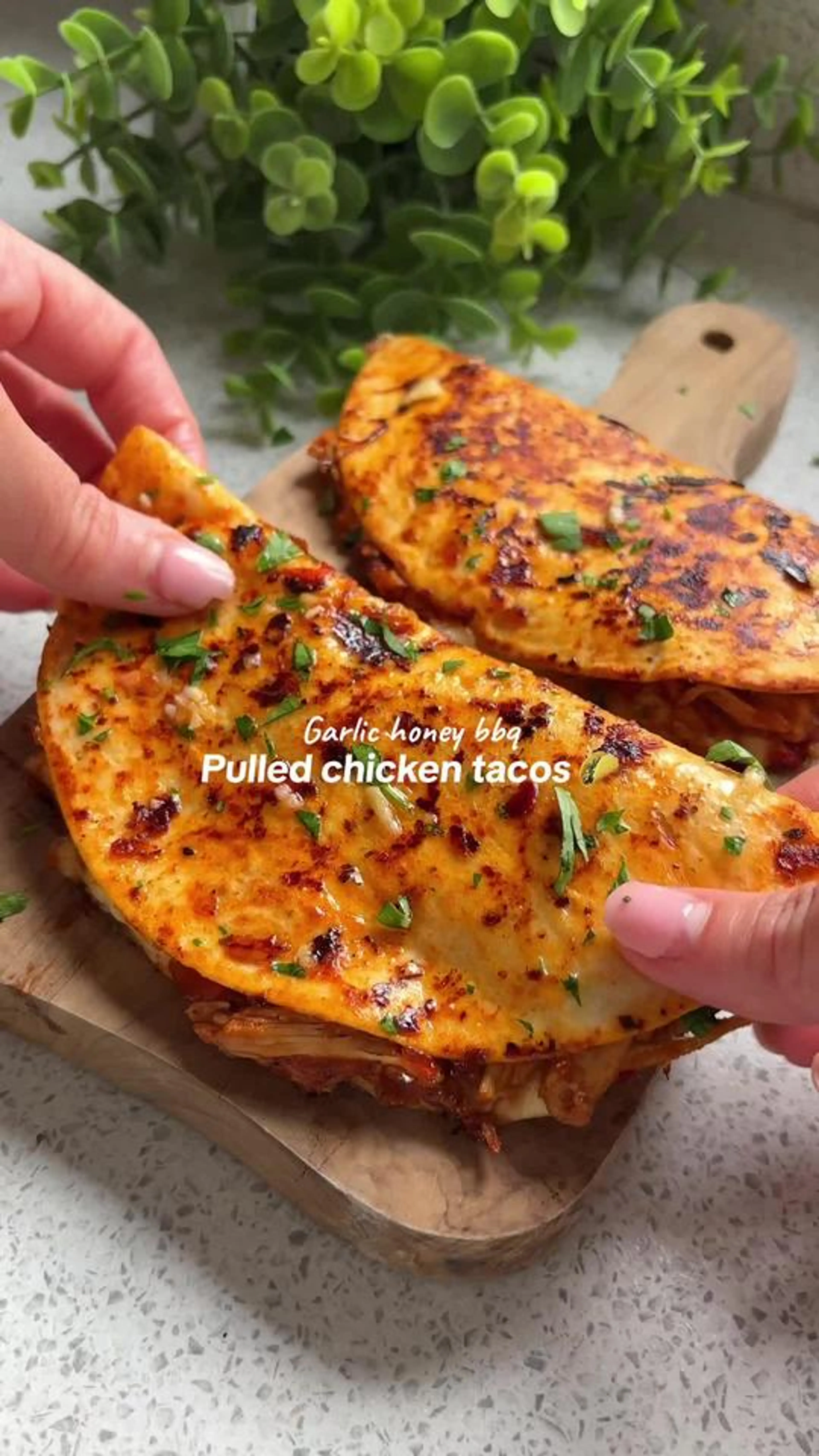 Chicken Tacos