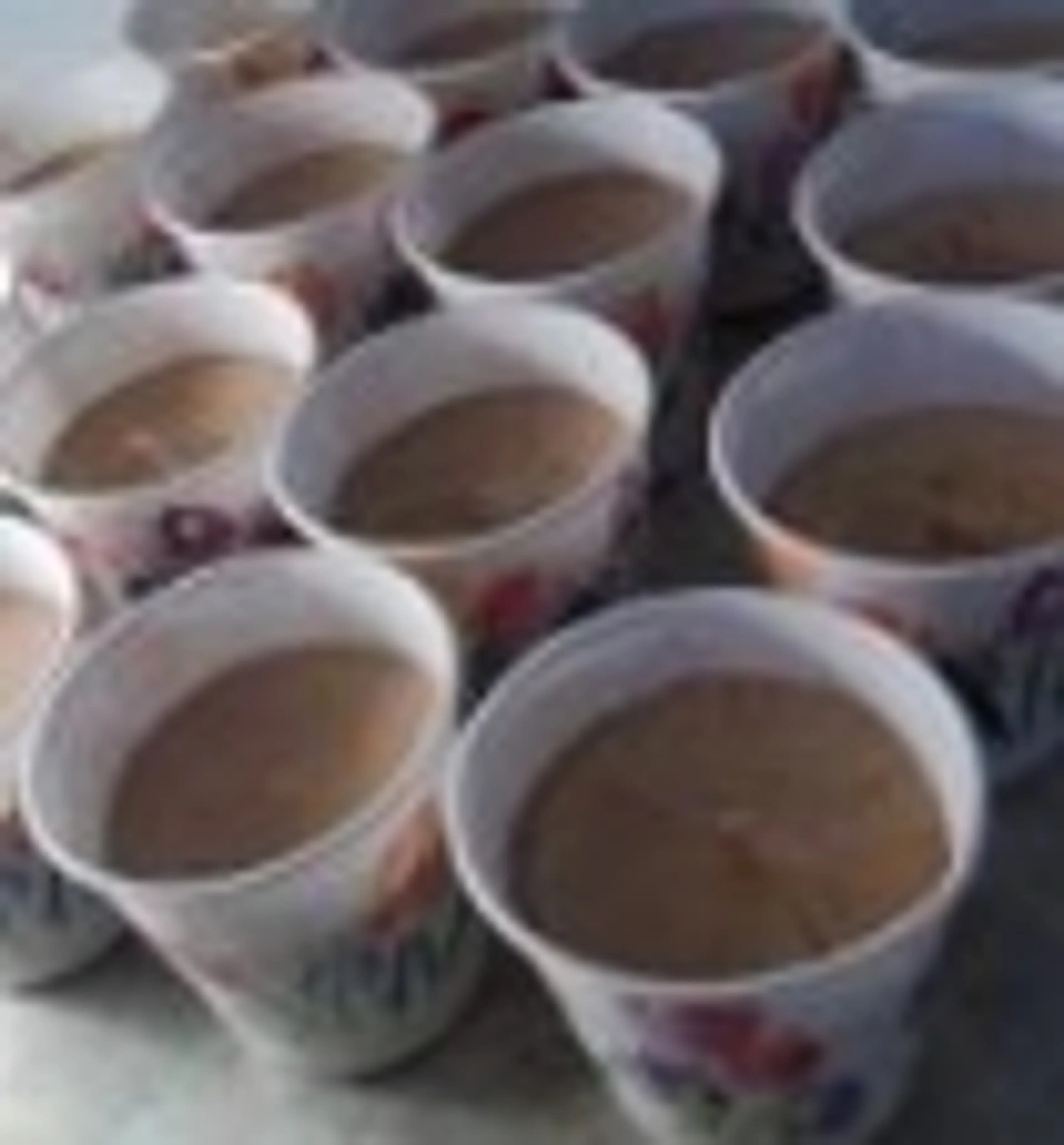 Pudding Shots