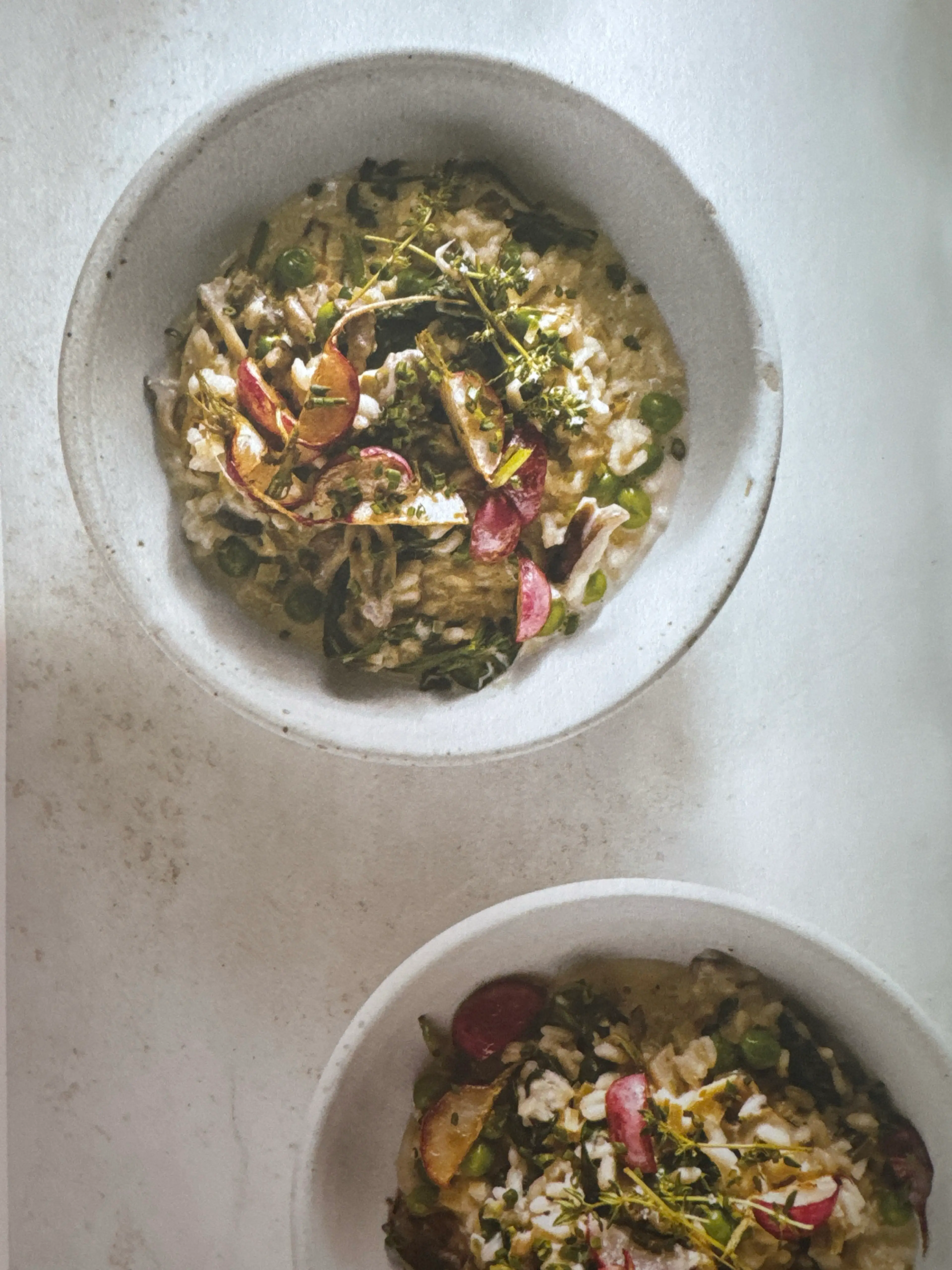 Spring Vegetable Risotto