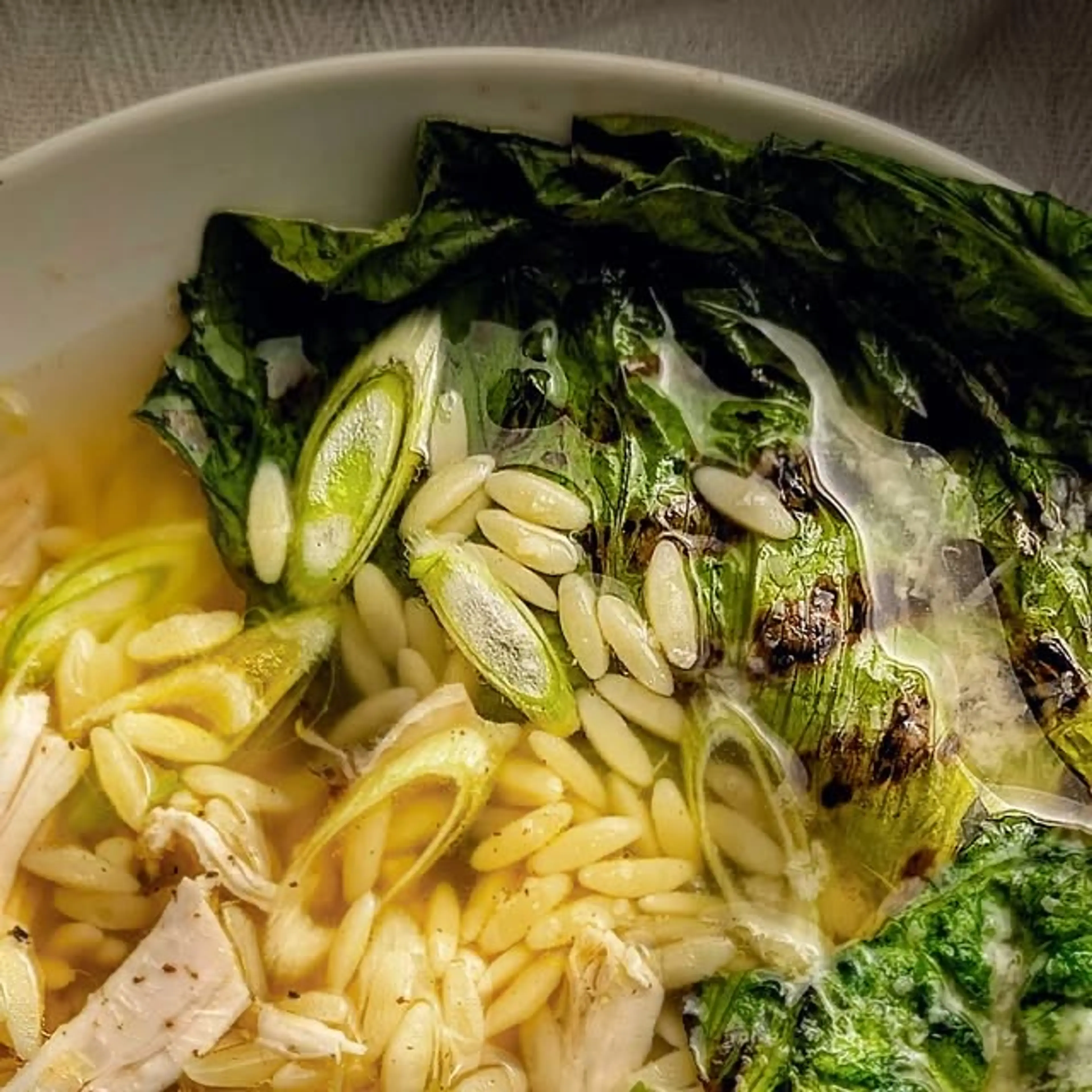 Lemon Chicken Orzo Soup with Grilled Baby Gem Lettuce, Scall