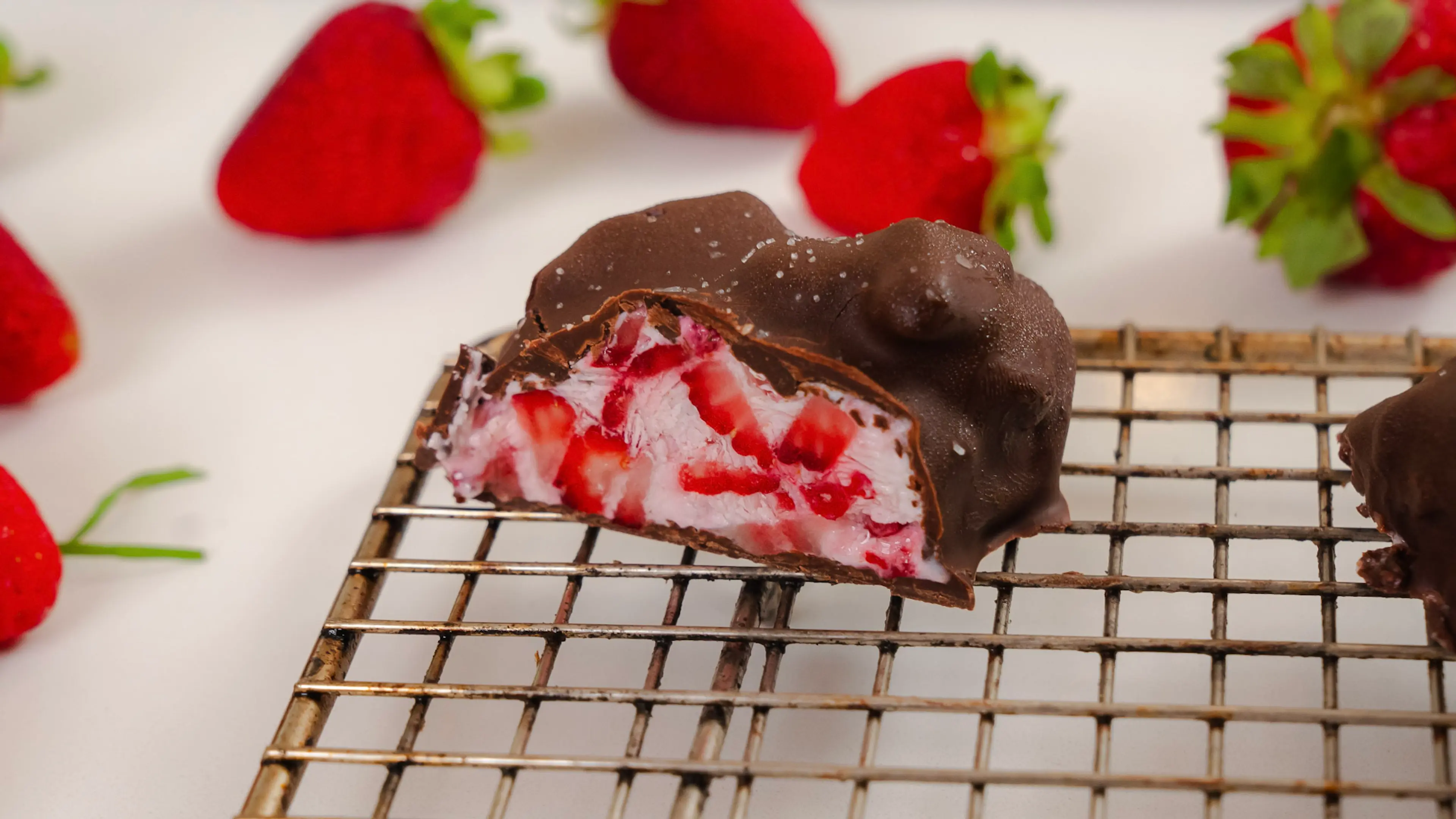 Frozen Strawberry Chocolate Bites