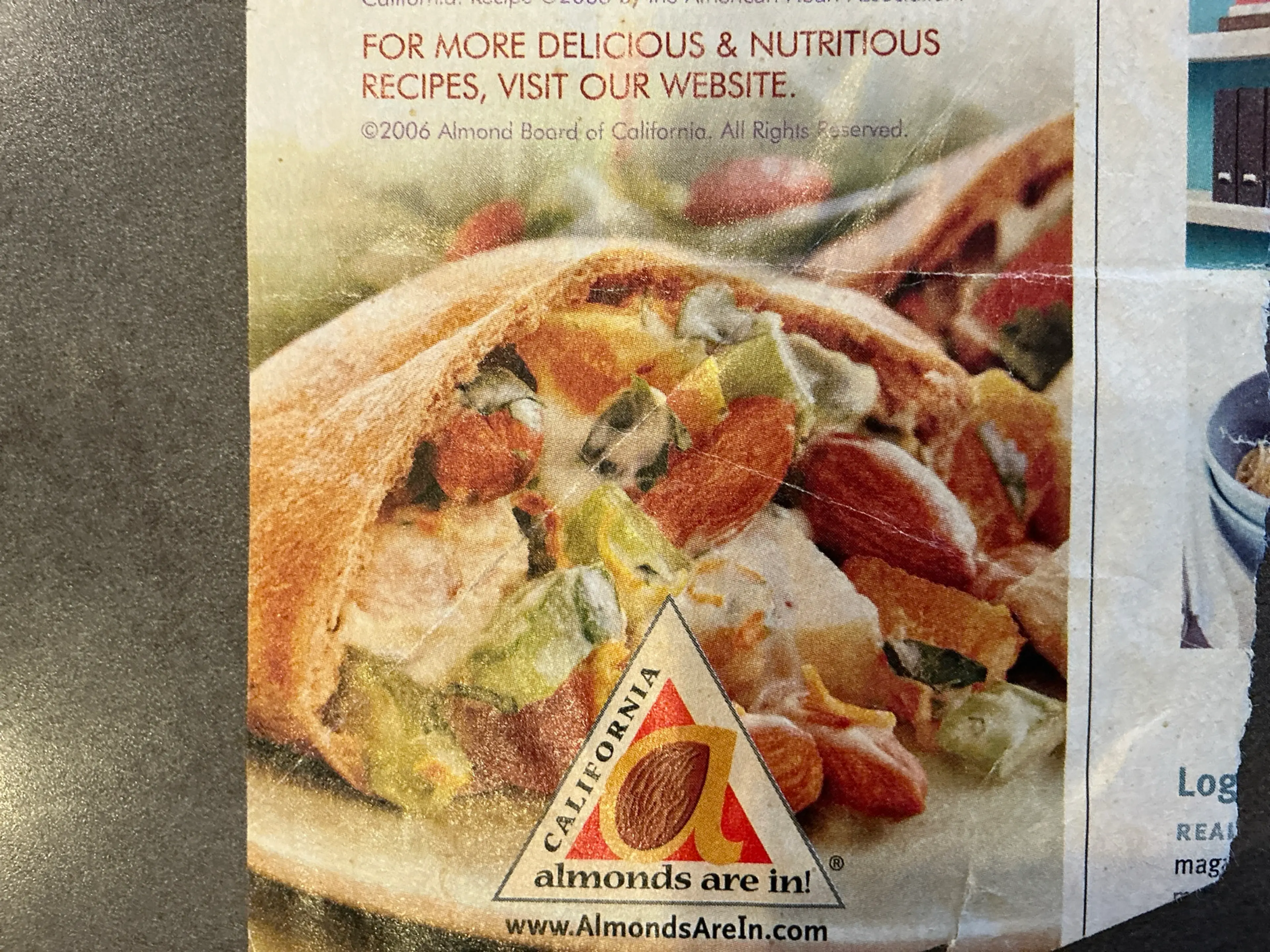 ALMOND, CHICKEN & DRIED APRICOT SALAD PITA