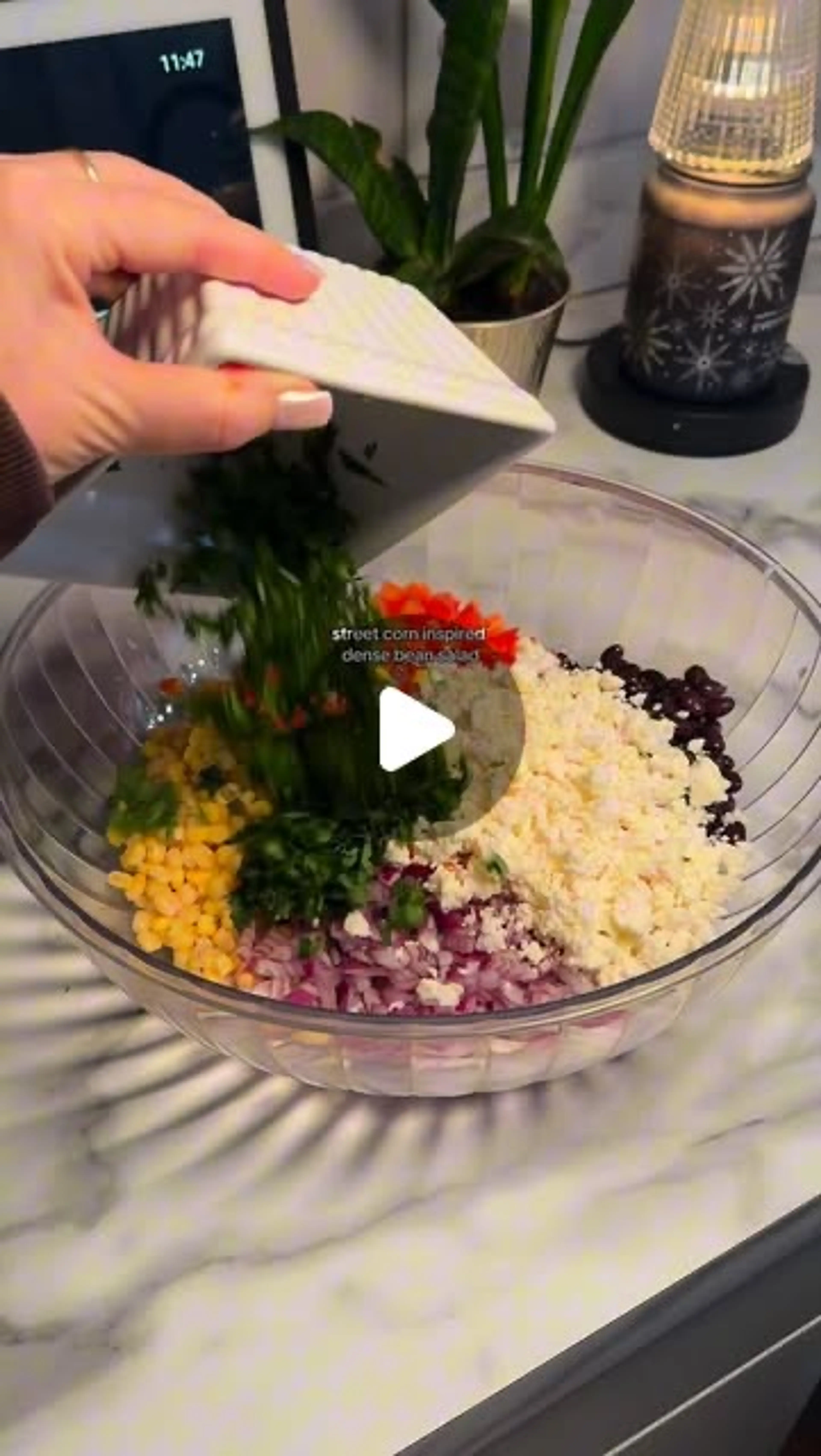 10 Minute Street Corn Inspired Dense Bean Salad