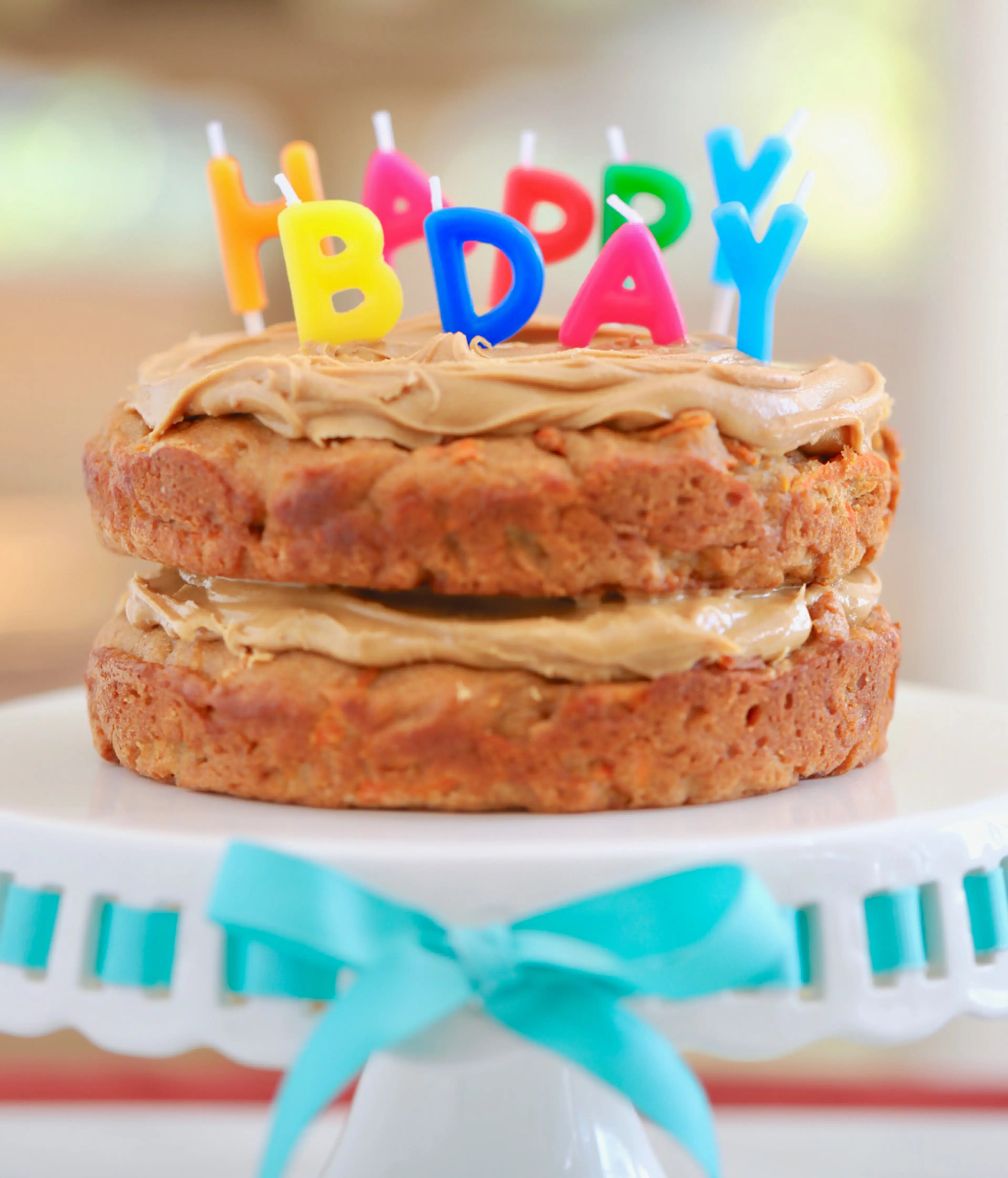 Spoiled Dog Cake Recipe