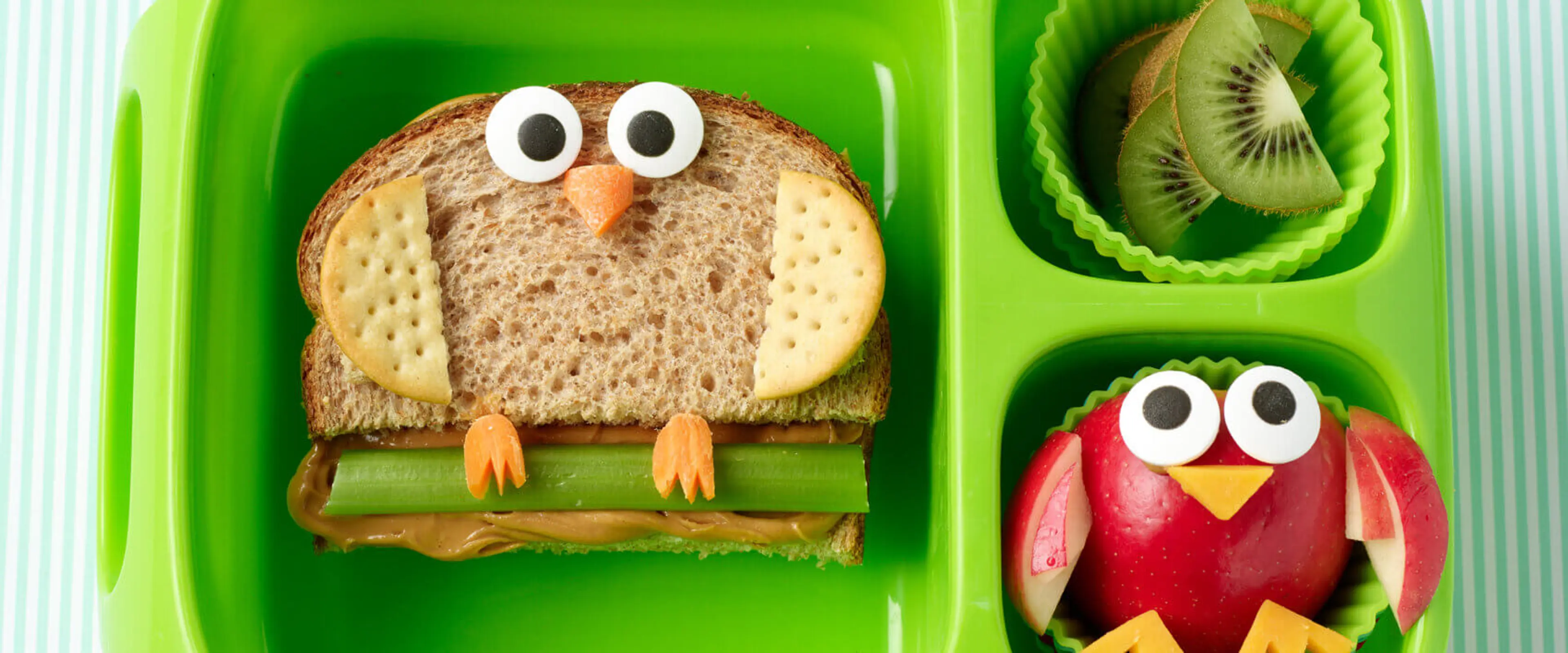 Owl Friends Bento Box