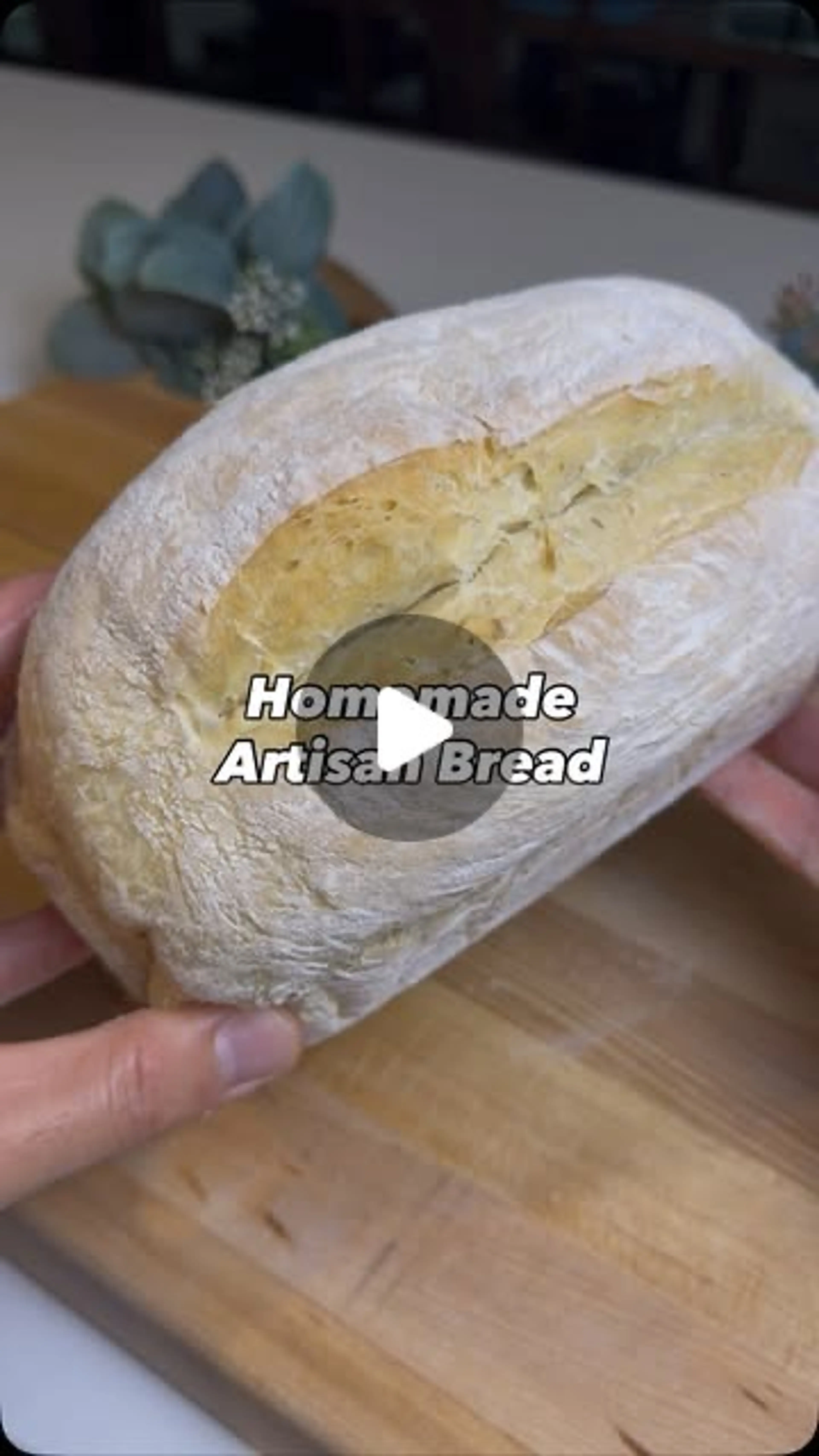 5 Ingredient Artisan Bread