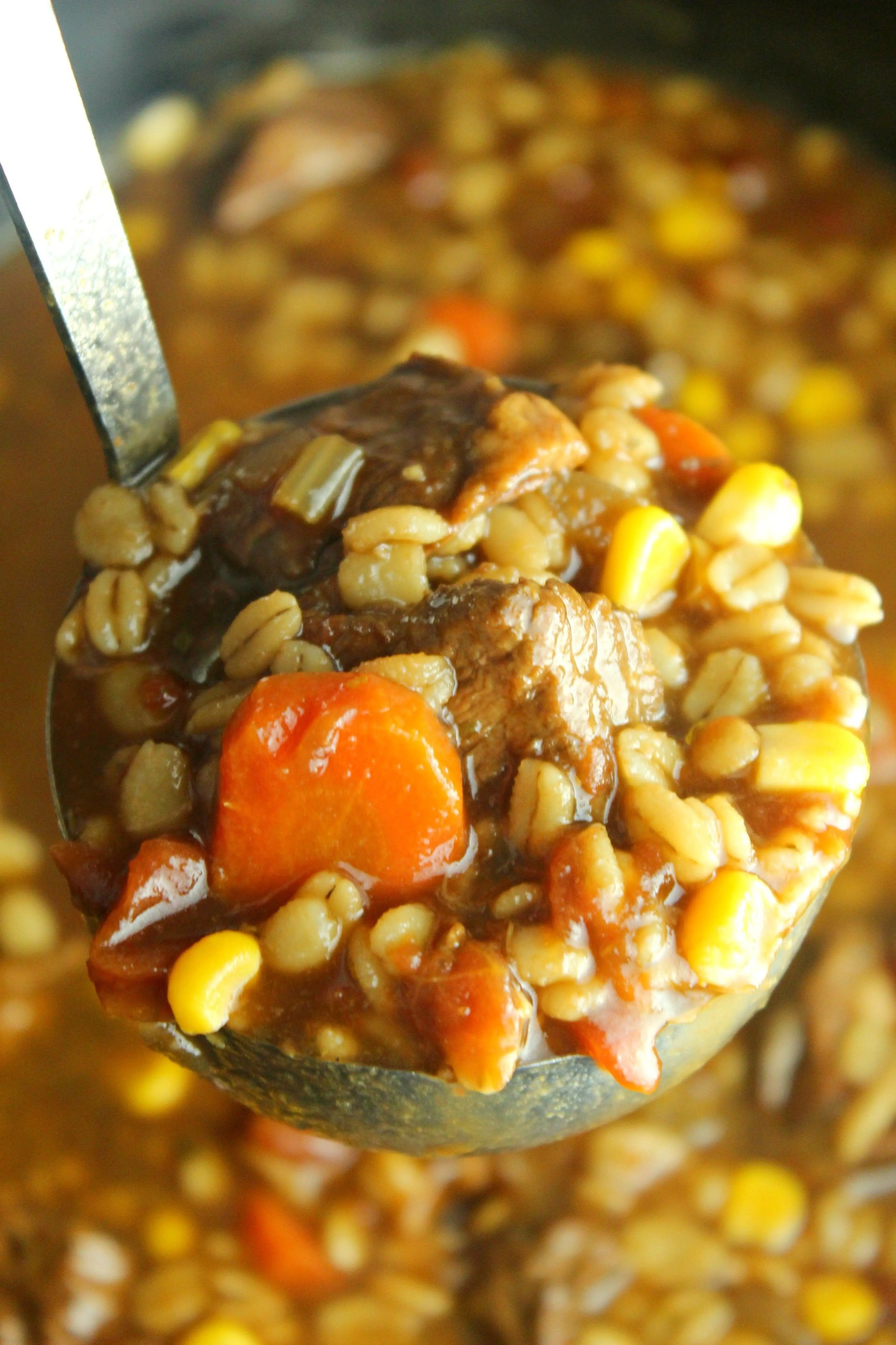 Homemade Slow Cooker Beef & Barley Soup