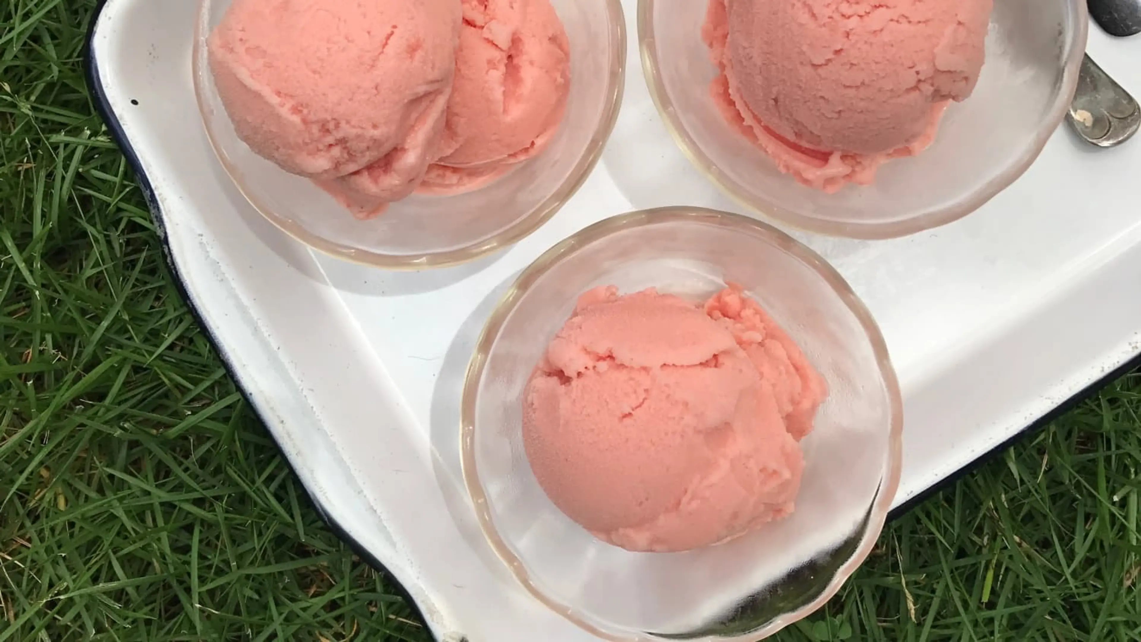 2-Ingredient Watermelon Sherbet