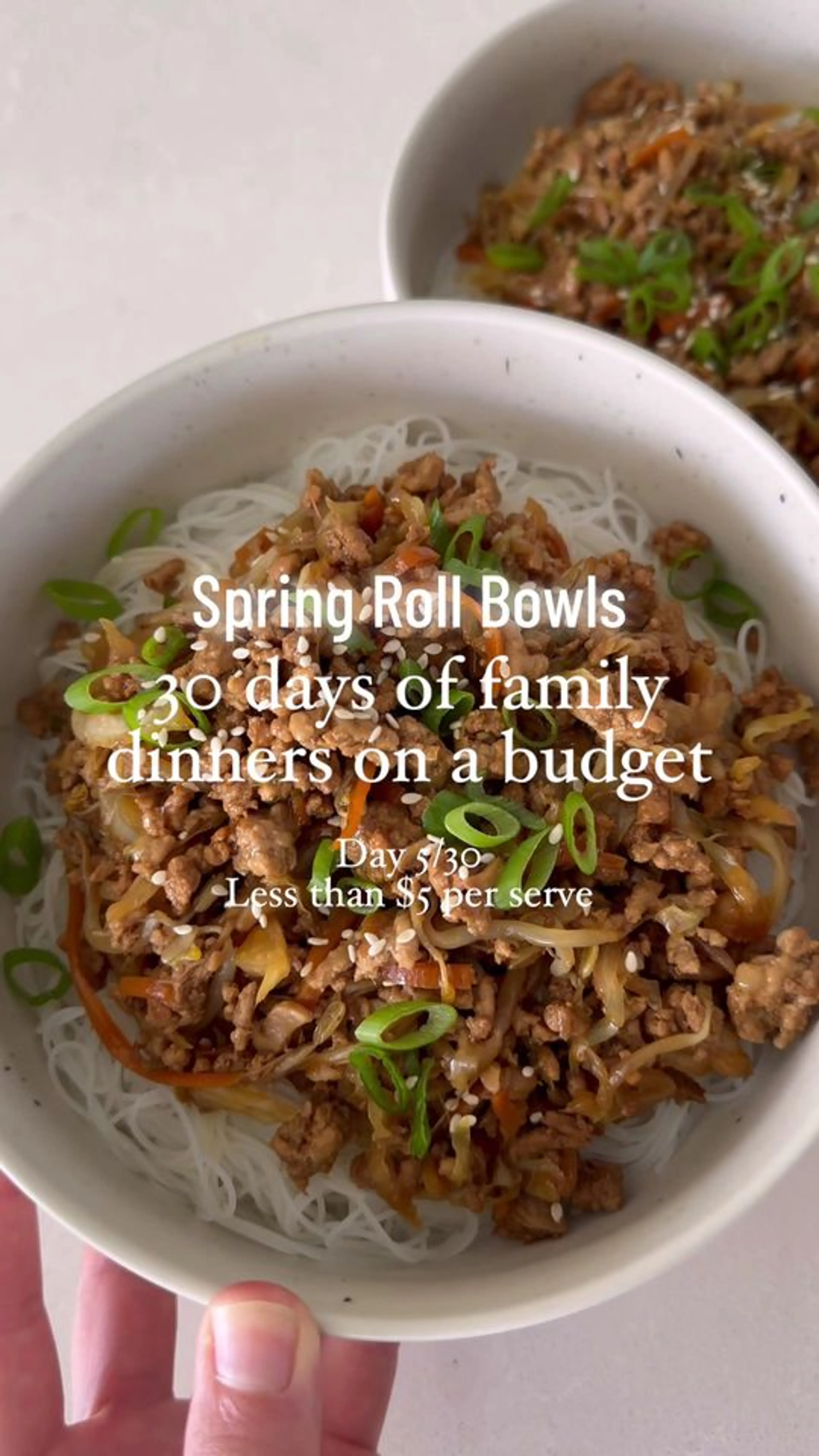 Spring Roll Bowls