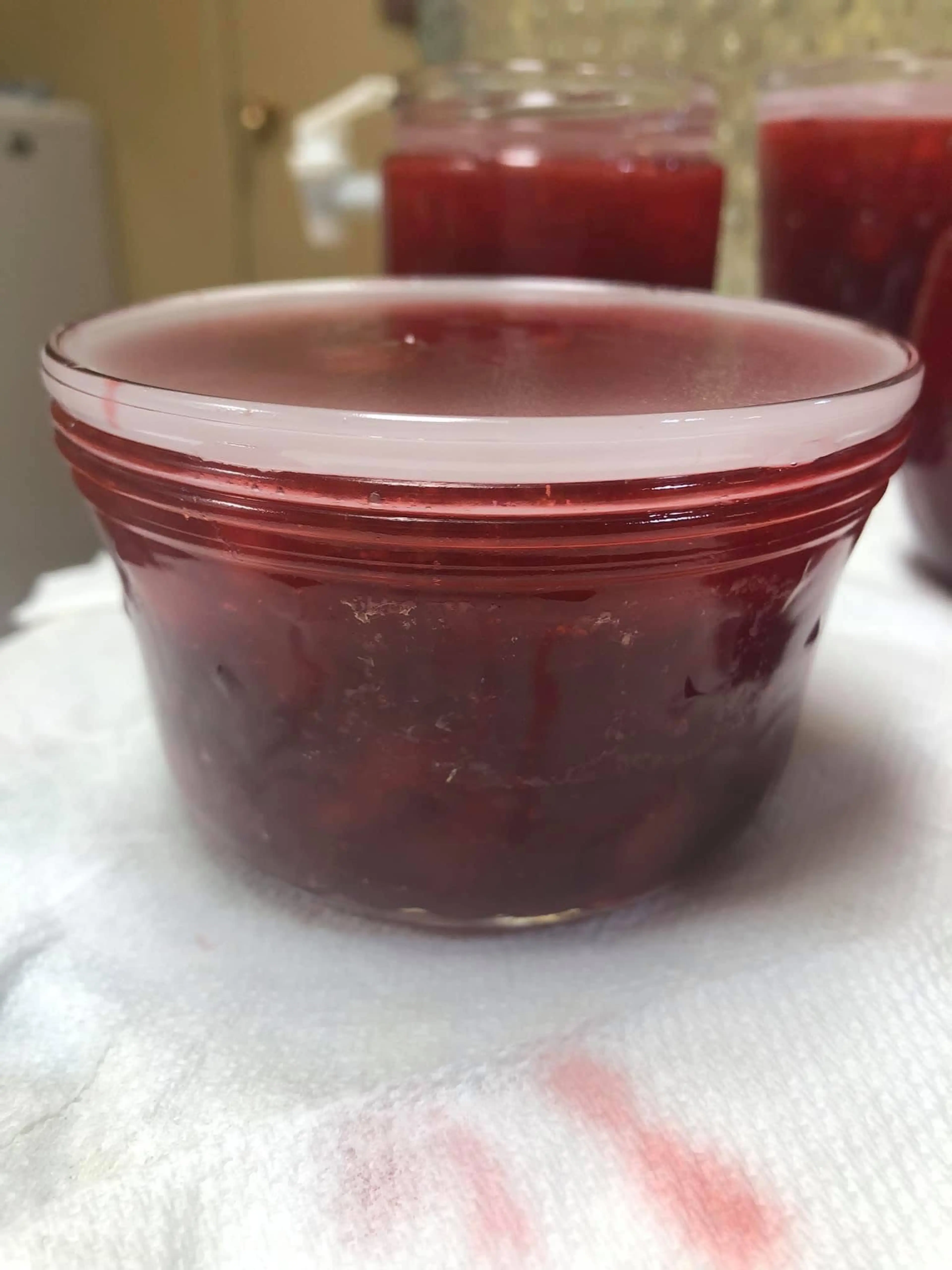Strawberry Rhubarb Jam (Bonnie Troutner)