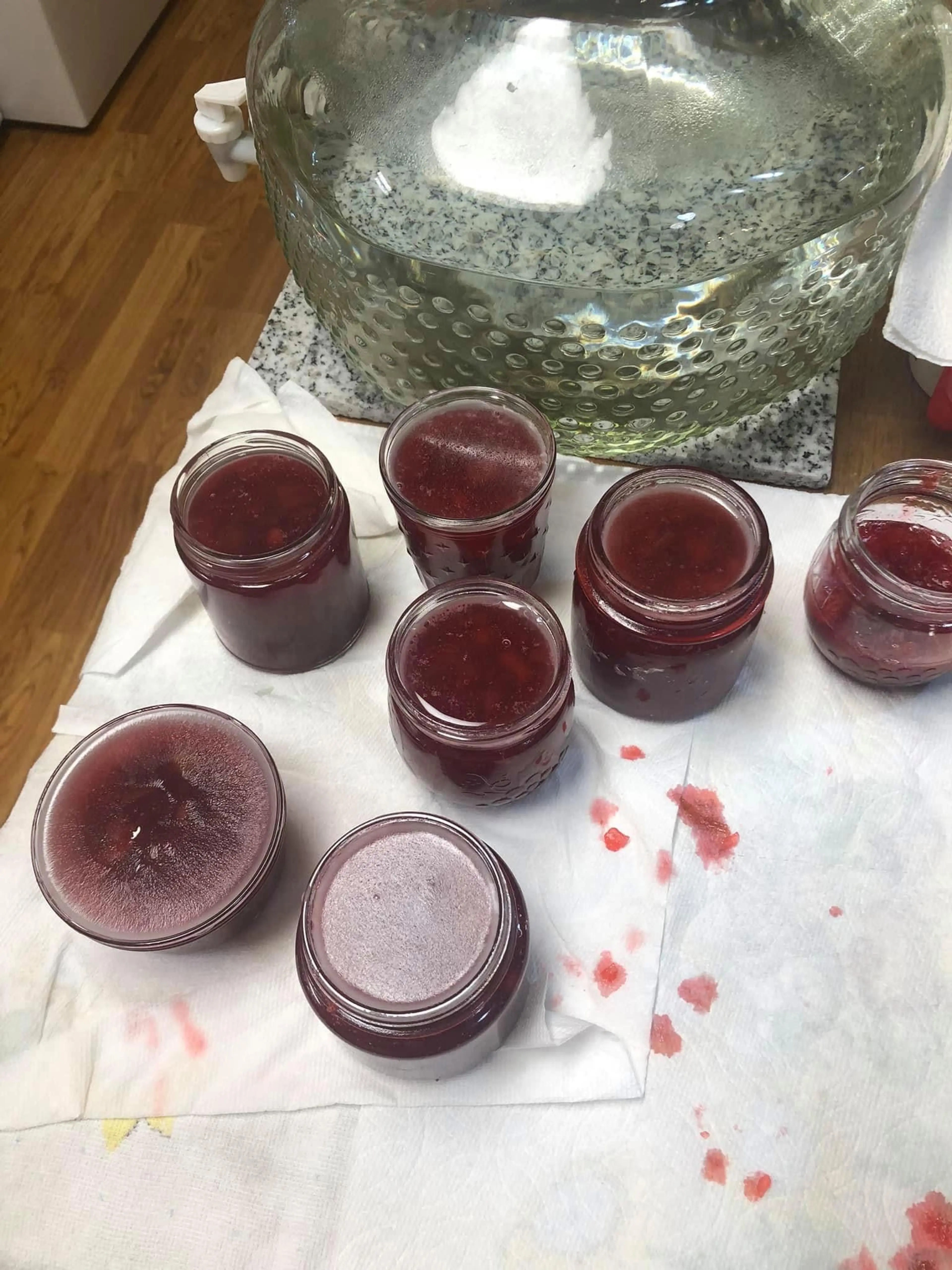 Strawberry Rhubarb Jam (Bonnie Troutner)