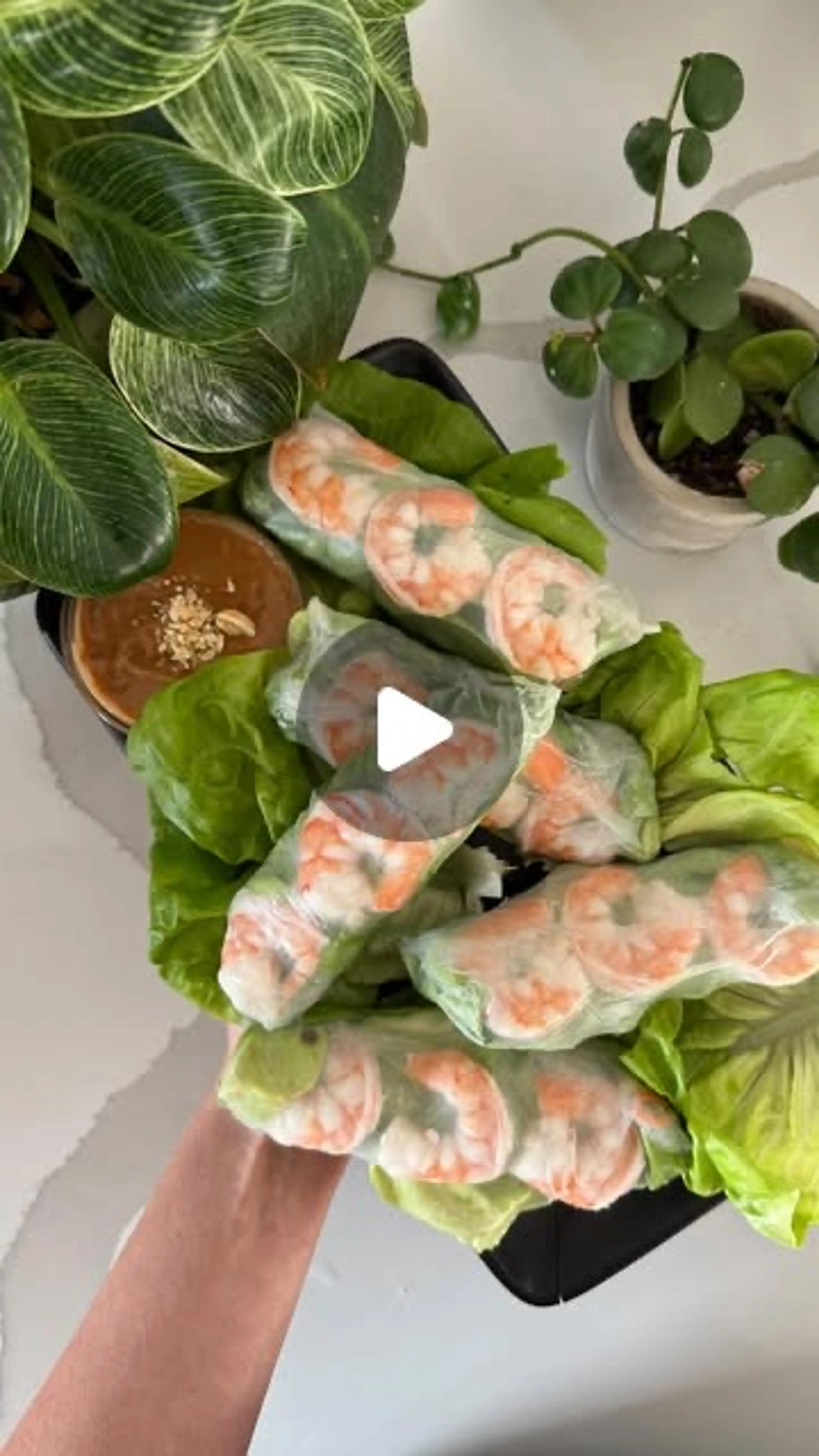 Healthy Shrimp Spring Rolls