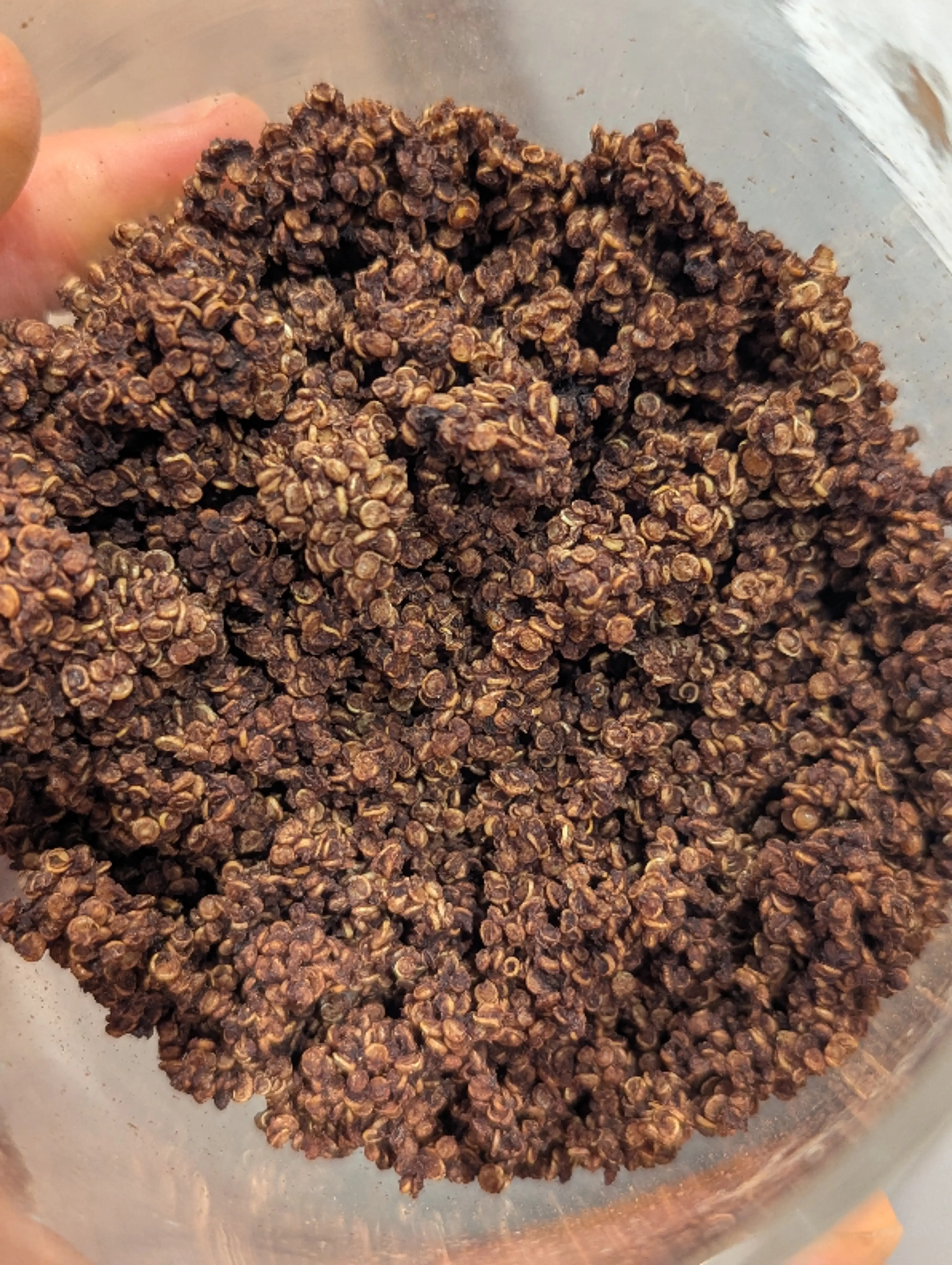 🍫 Quinoa Au Chocolat