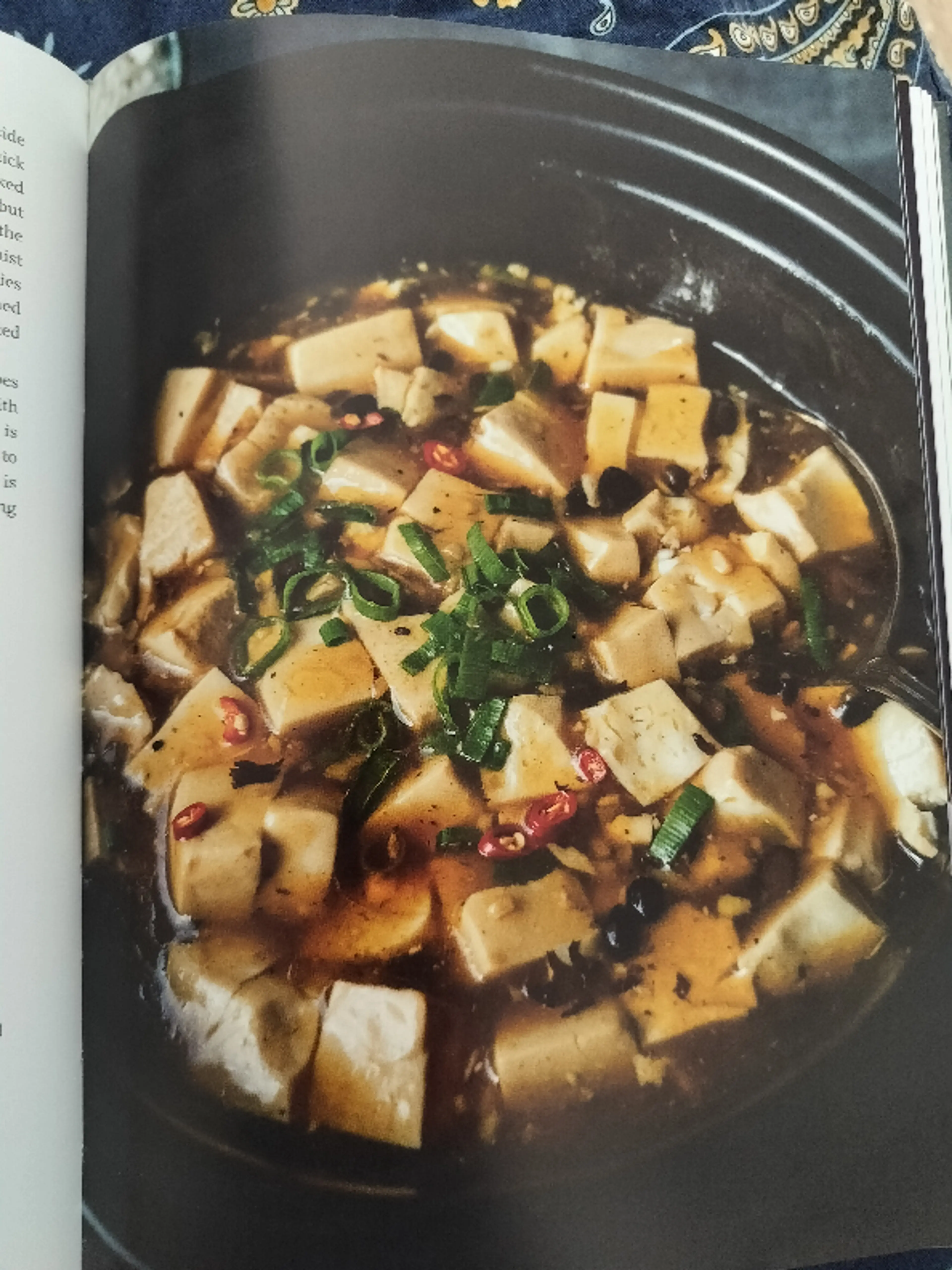 SOFT TOFU WITH BLACK BEAN SAUCE