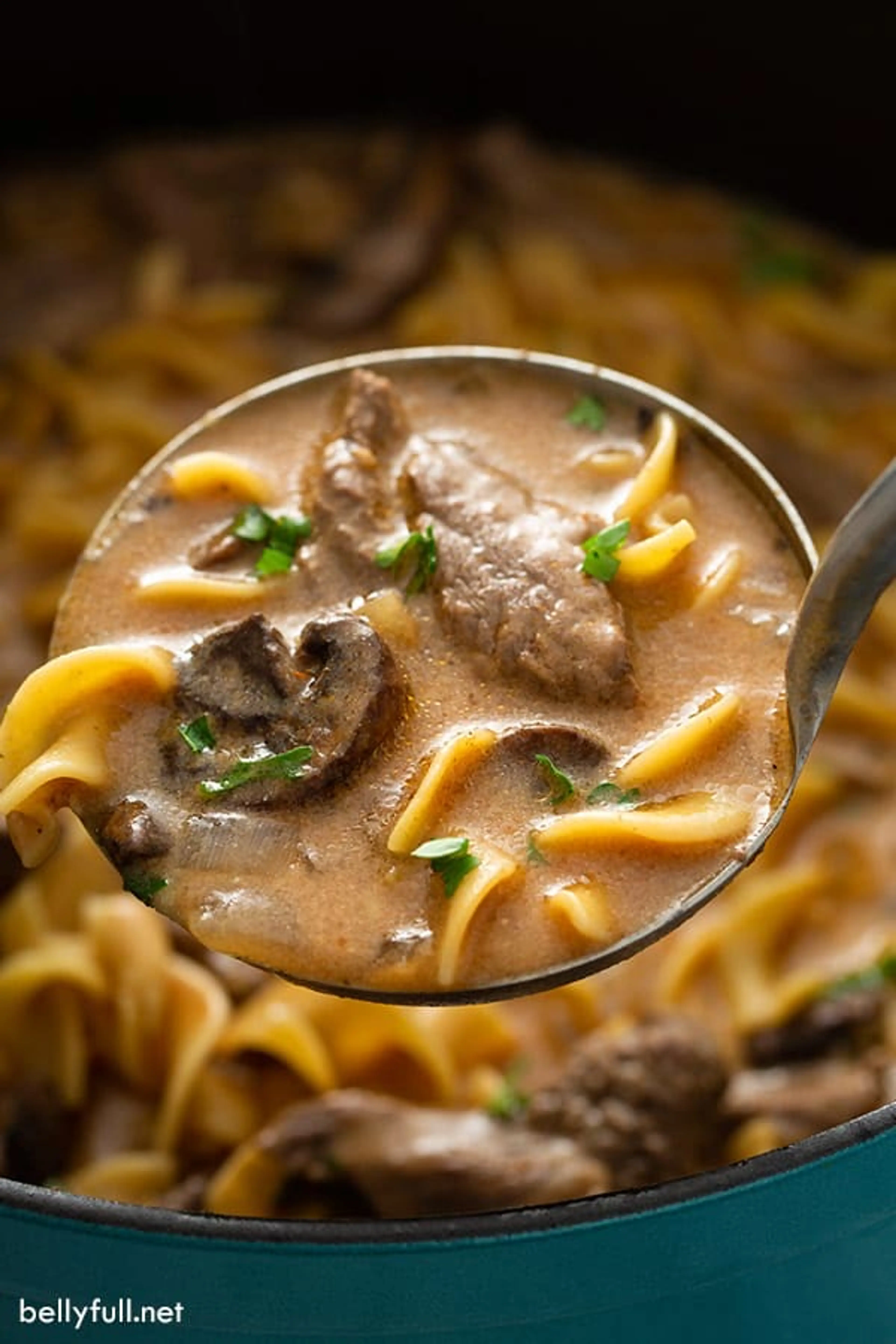 One-Pot Beef Stroganoff Soup