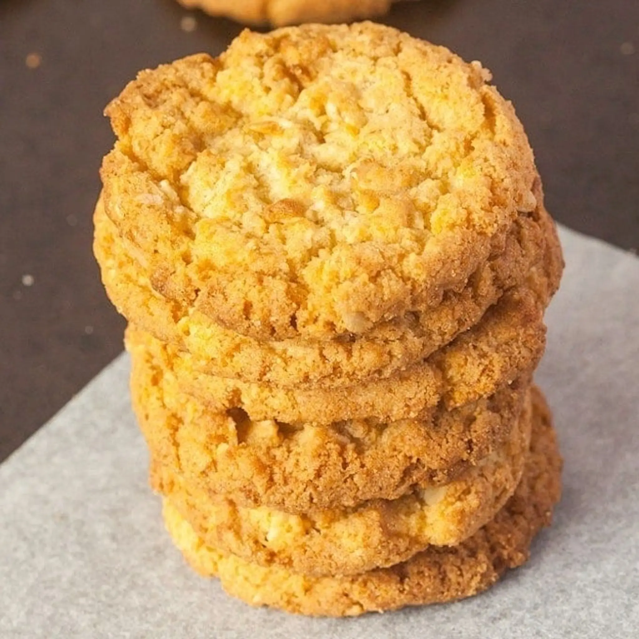 Sugar Free Anzac Biscuits