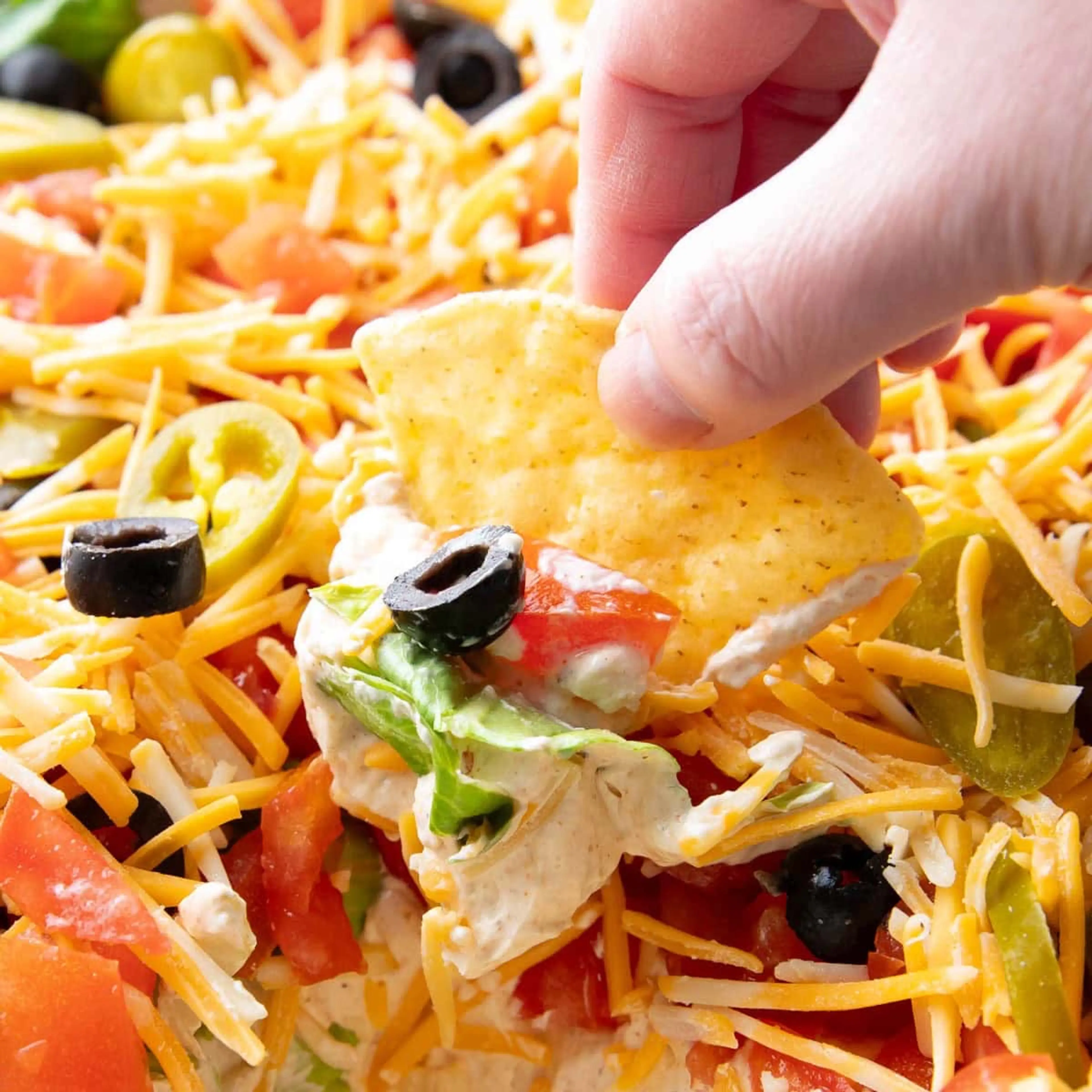 Easy Taco Dip Recipe
