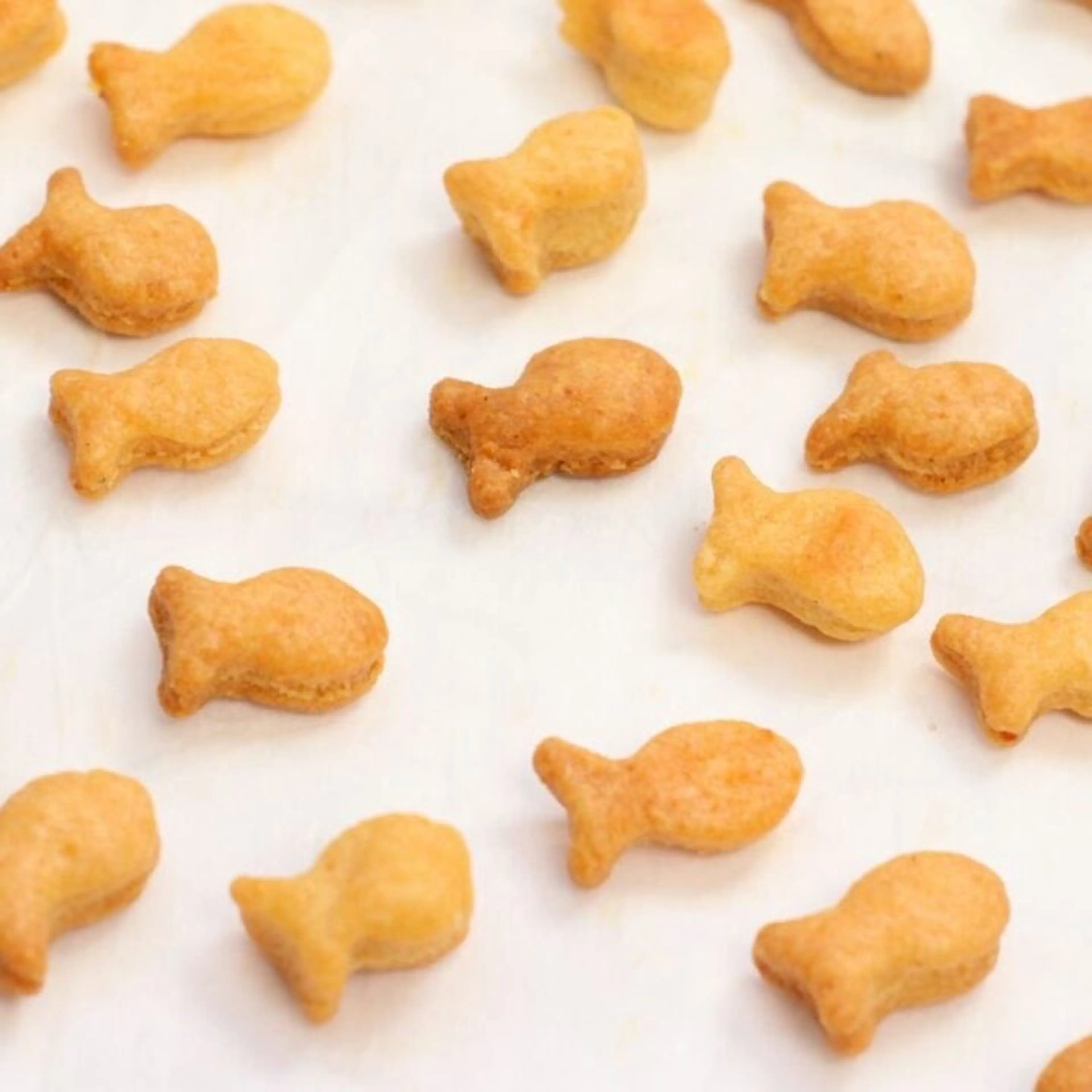 Sourdough Goldfish Crackers