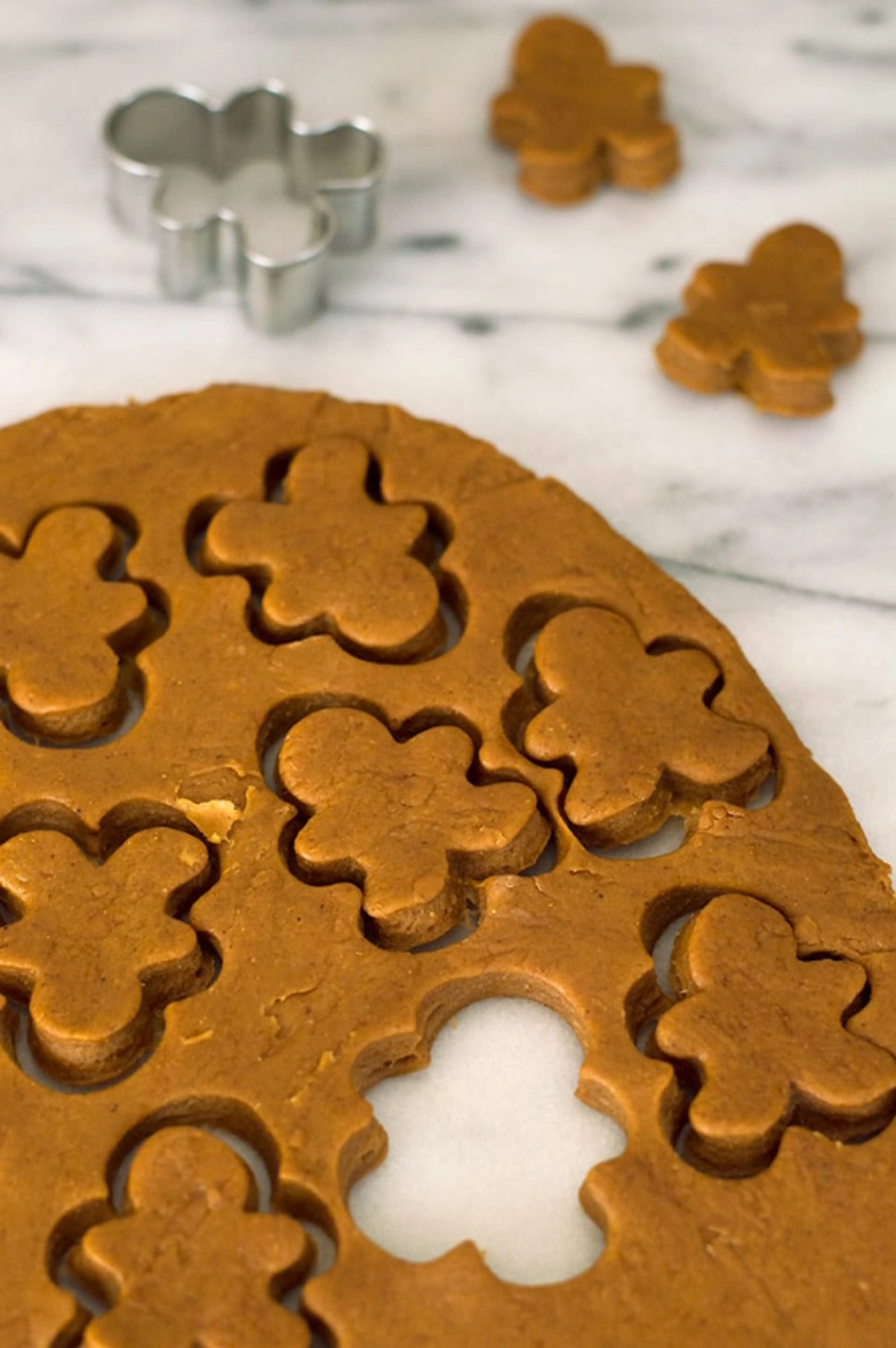 Gingerbread Cookies for Rats (and Dogs)